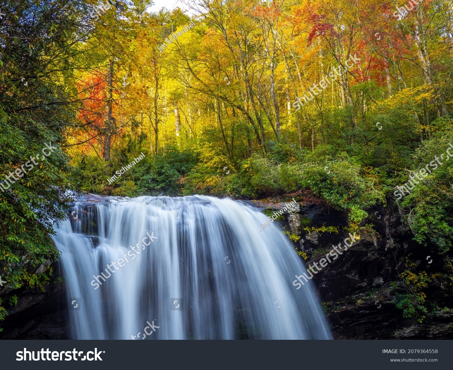 661 Nantahala national forest Images, Stock Photos & Vectors | Shutterstock