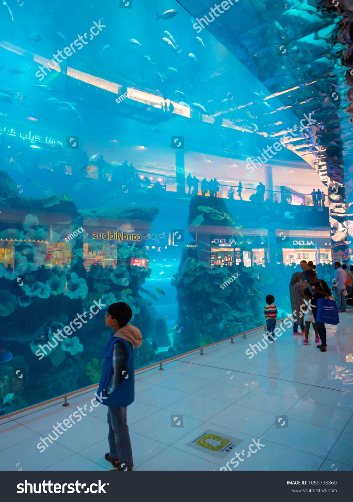 Dubaiuae December 2017 People Enjoy Underwater Stock Photo Edit