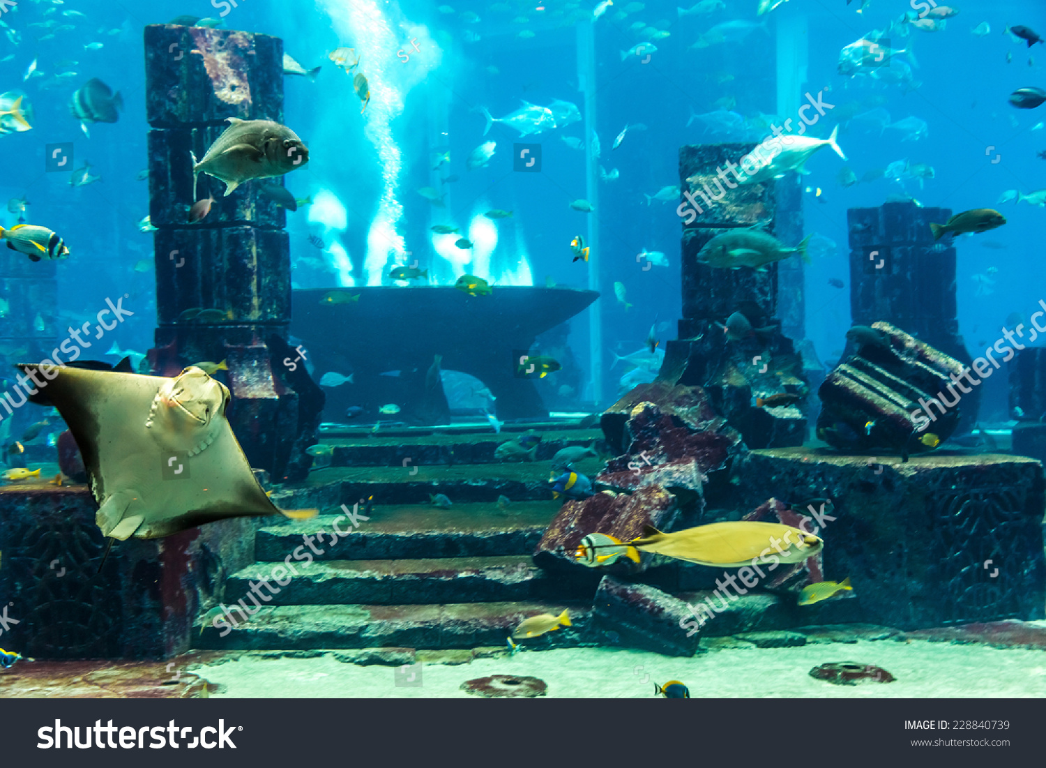 Dubai Uae September 30 Large Aquarium Stock Image Download Now