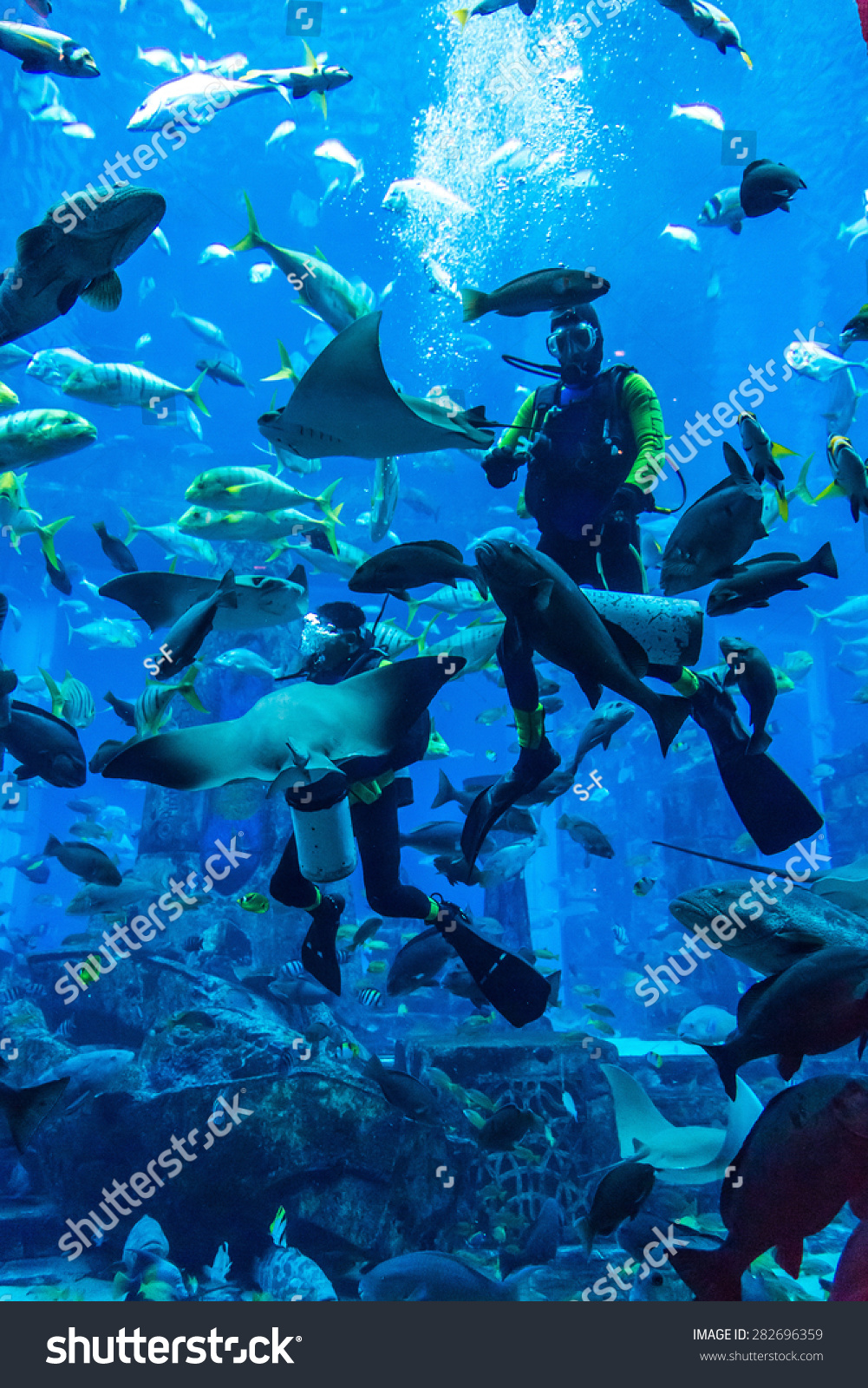 Dubai Uae September 30 Large Aquarium Stock Photo Edit Now