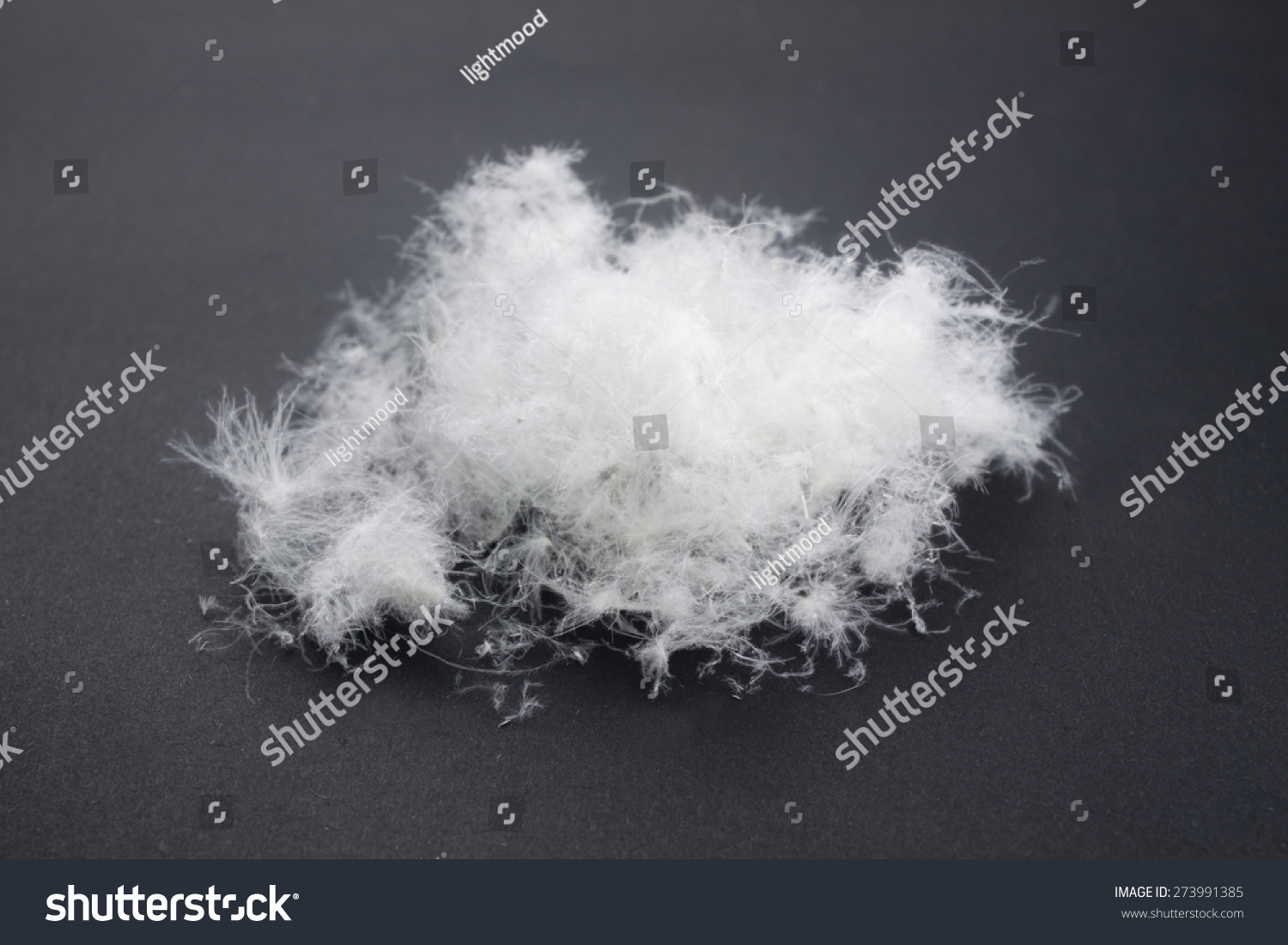 Duck Downfilling Material Down Jacket Stock Photo 273991385 ...