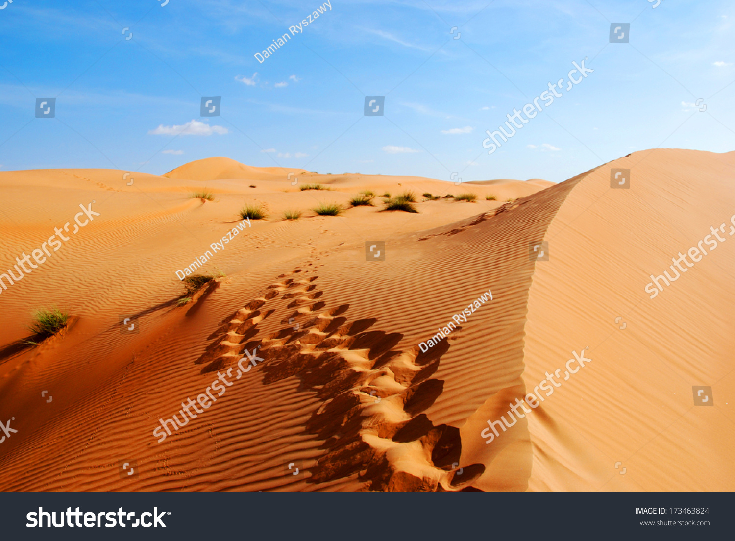 4 076 Rub Al Khali Stock Photos Images Photography Shutterstock   Stock Photo Dunes Of The Rub Al Khali Or Empty Quarter Straddling Oman Saudi Arabia The Uae And Yemen This 173463824 