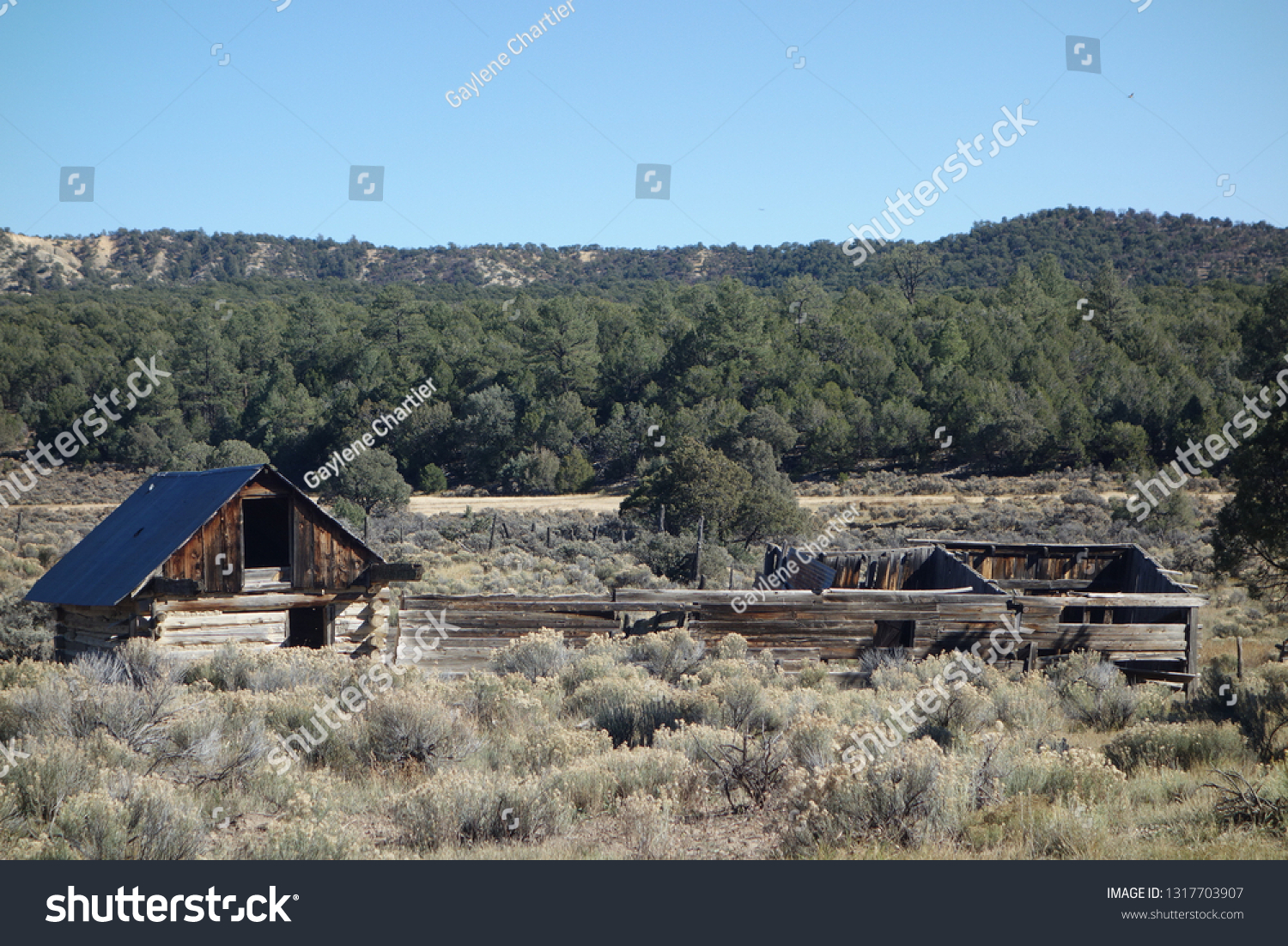 Durango Abandoned Log Cabins Stock Photo Edit Now 1317703907