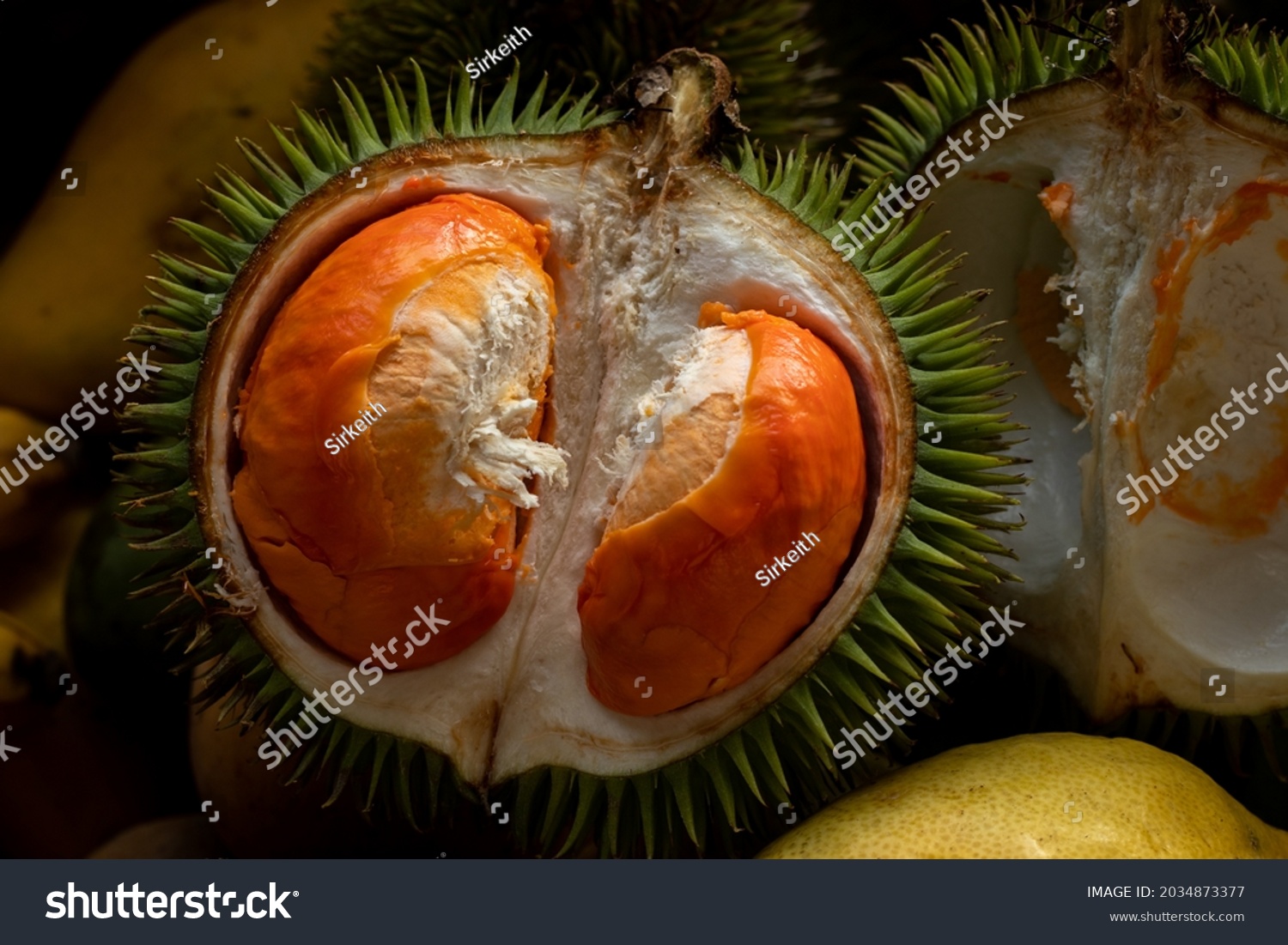 Durio Graveolens Durian Bright Colored Flesh Stock Photo 2034873377