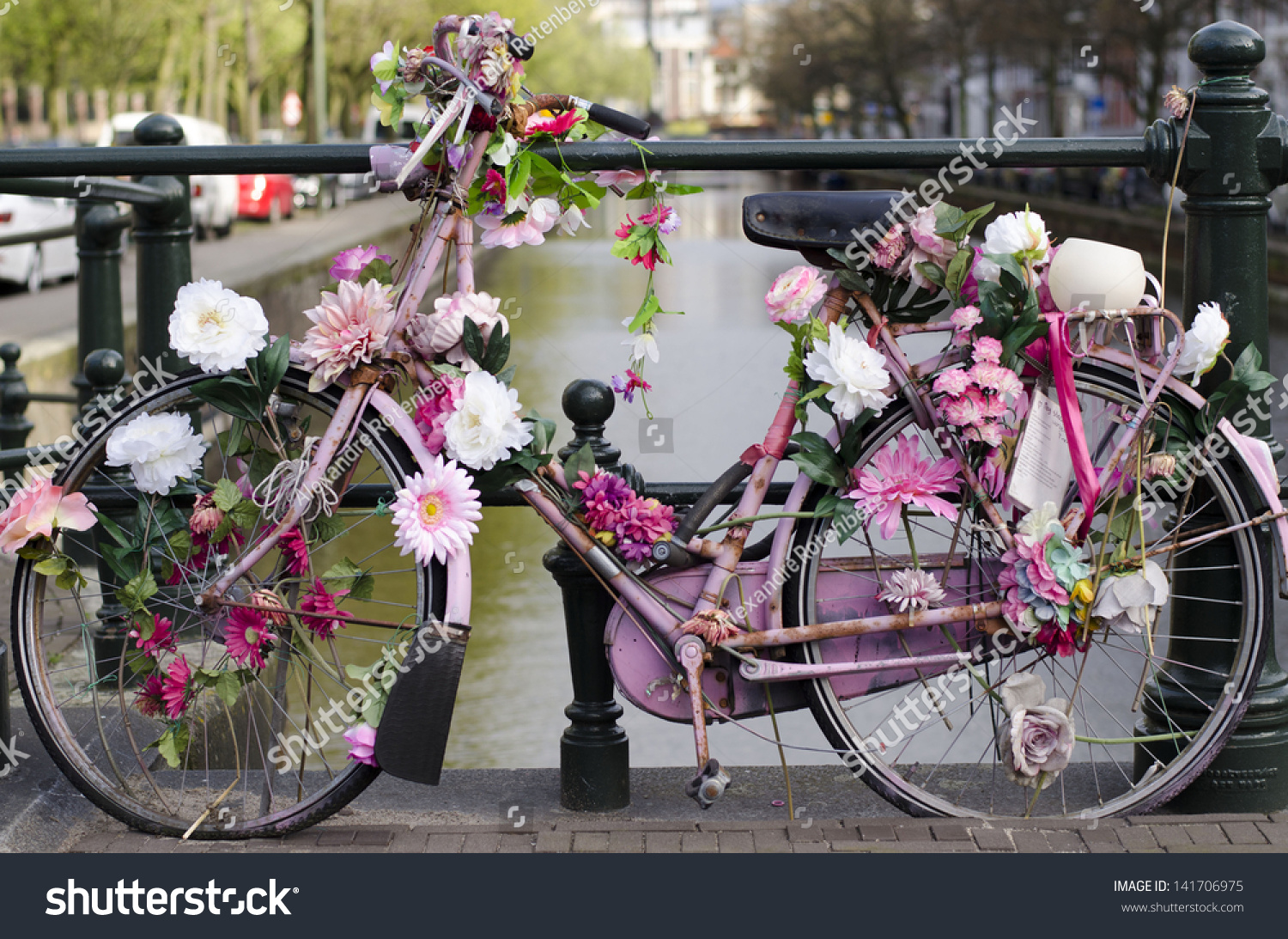 pink dutch bike