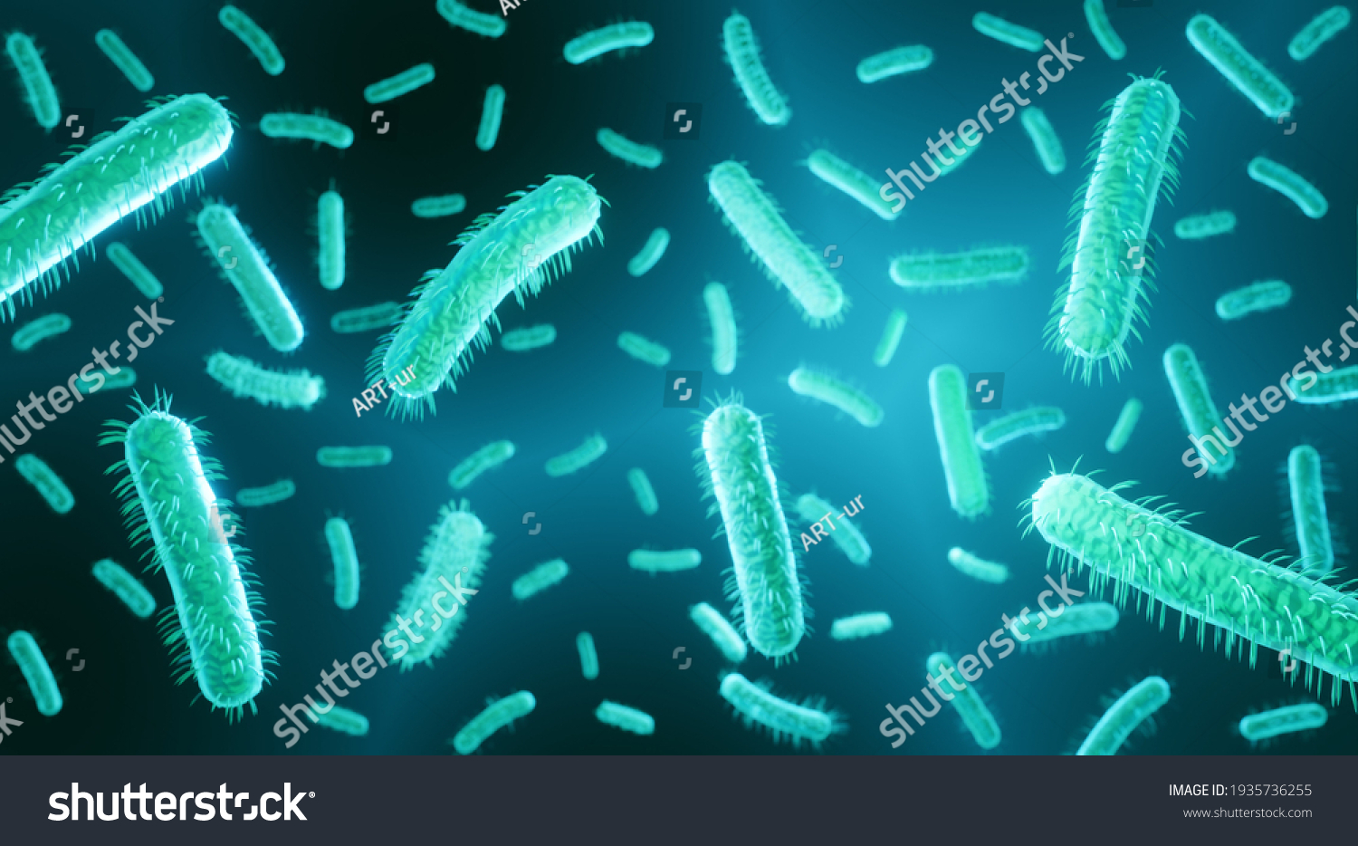 E Coli Gram Negative Bacteria Part Stock Illustration Shutterstock