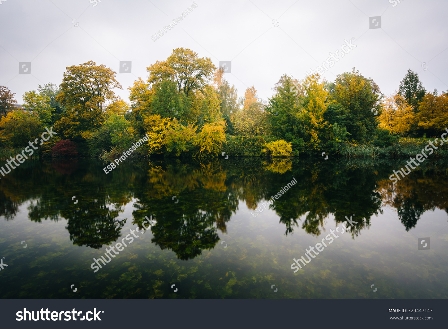 Early Autumn Color Lake Copenhagen Denmark Buildings Landmarks Stock Image