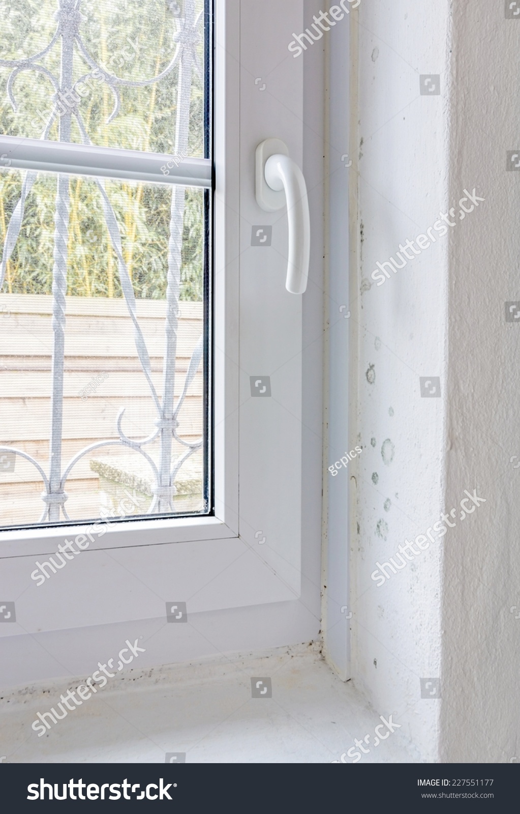 Early Stage Rising Damp Mold On Stock Photo 227551177 - Shutterstock