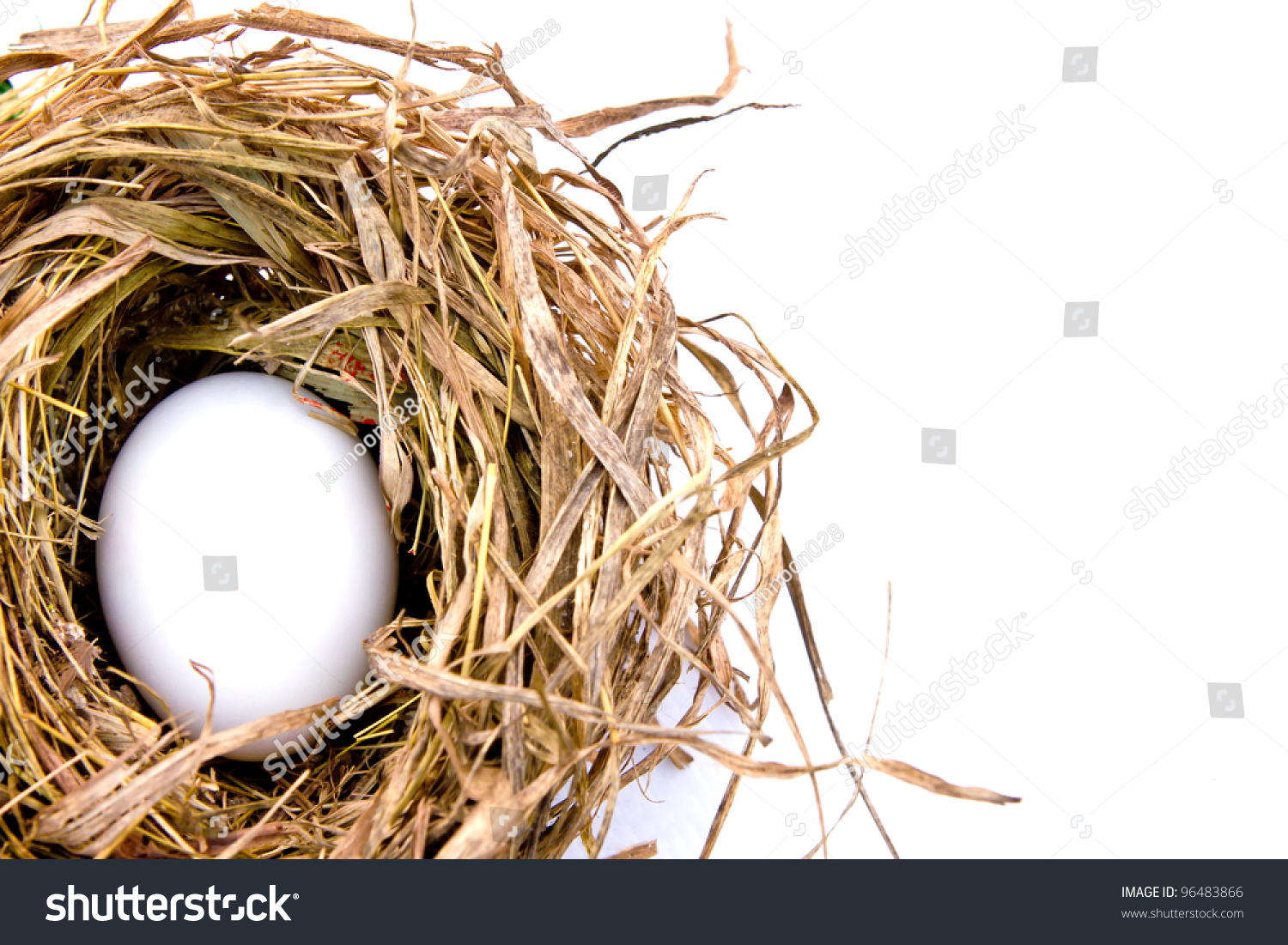 Easter Eggs In Dry Net Isolated On White Stock Photo 96483866 ...