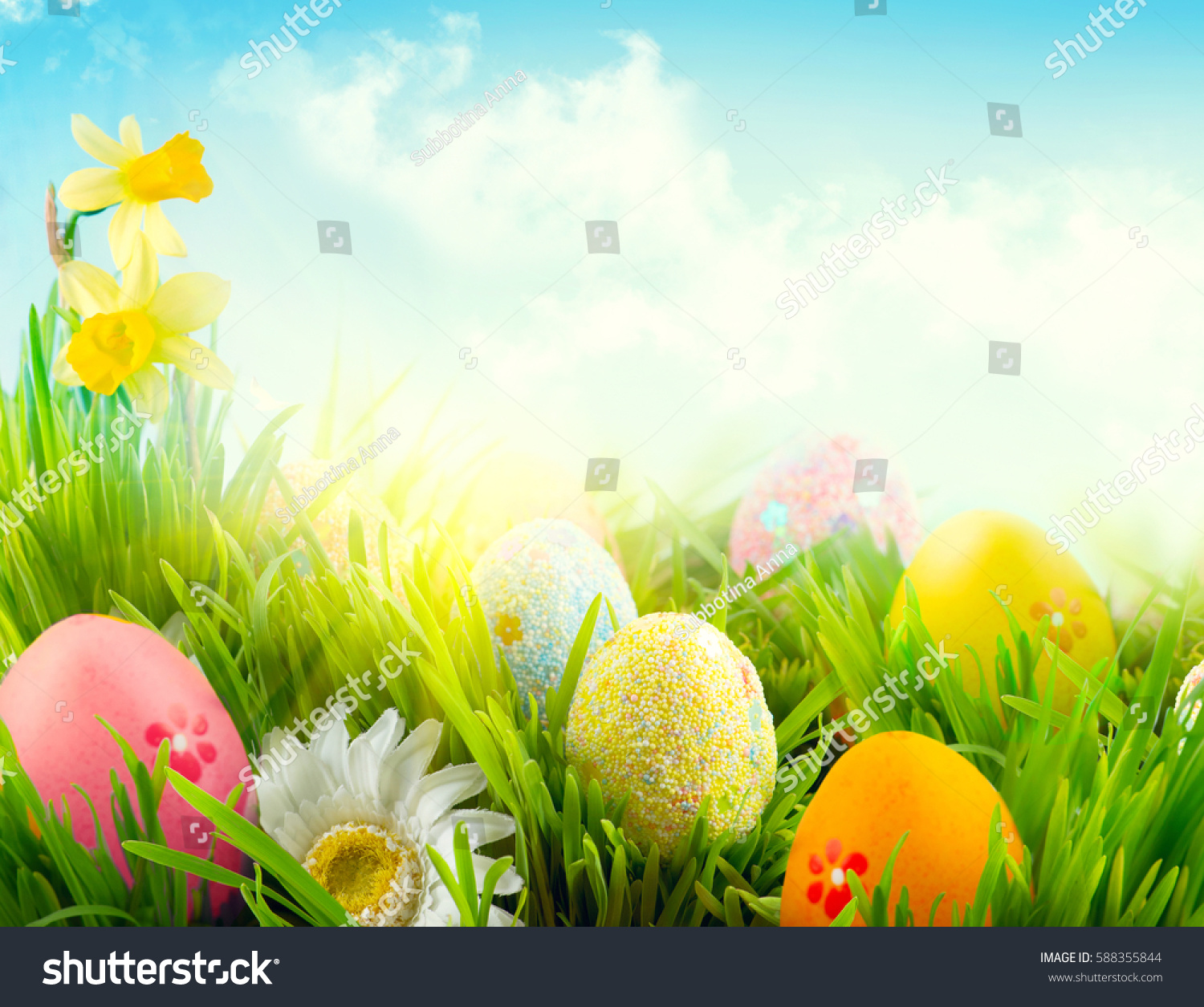 Easter Nature Spring Scene Background Beautiful Stock Photo