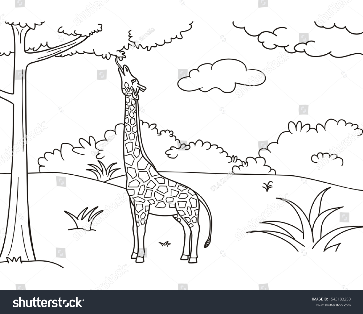 easy giraffe coloring book outline child stock illustration 1543183250