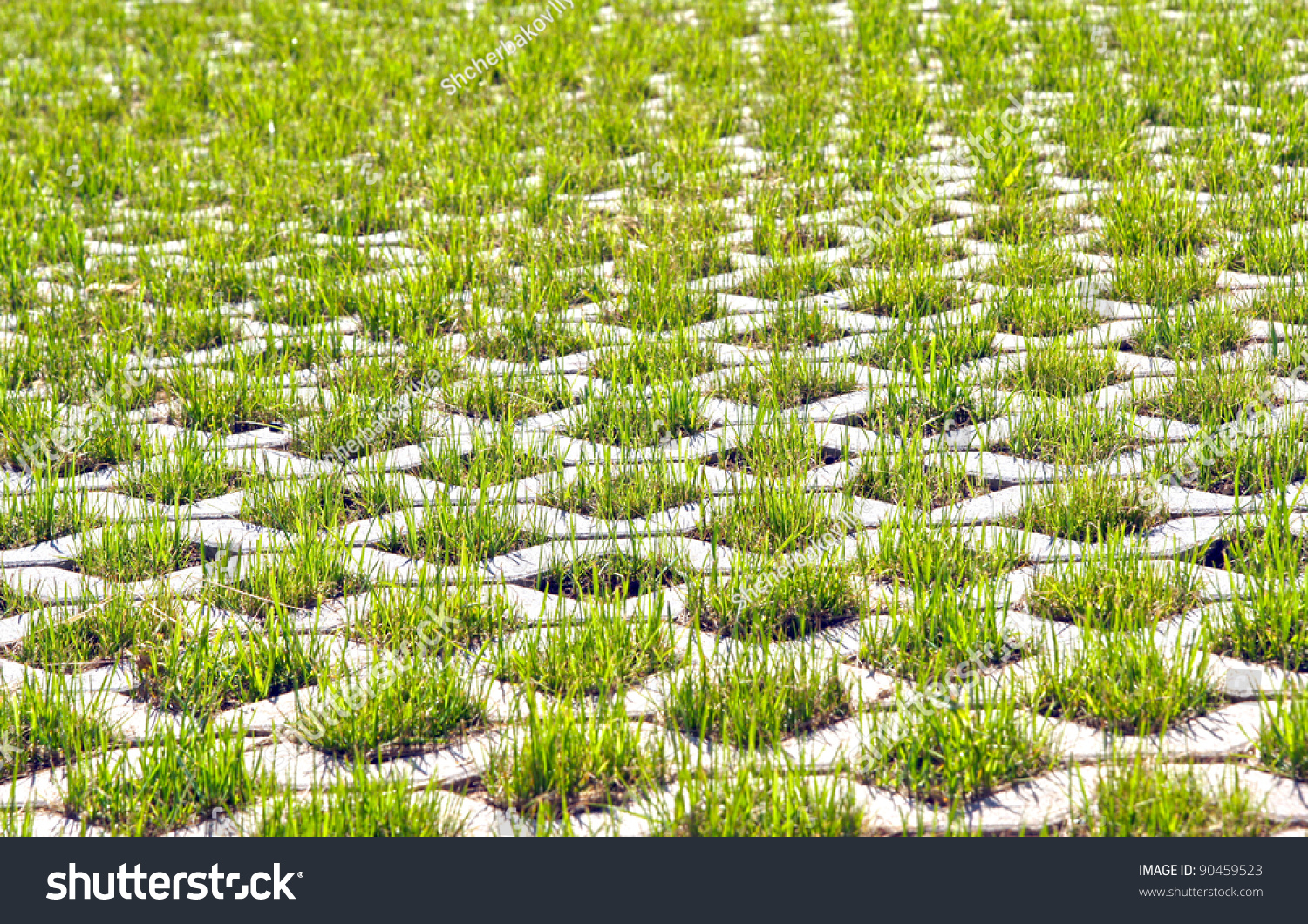Ecological Parking Cars Green Grass Stock Photo (Edit Now) 90459523