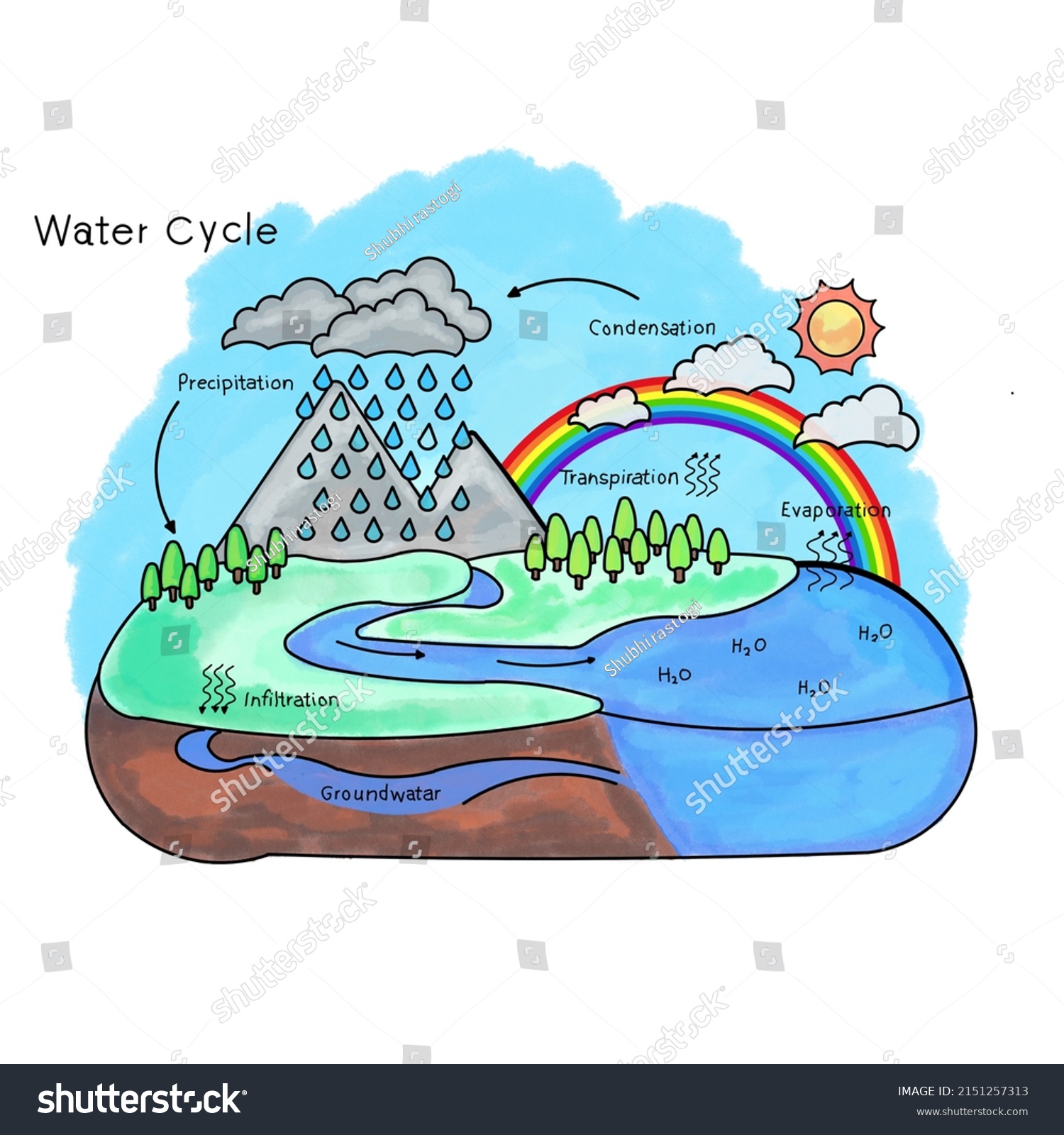 Ecosystem Diagram Watercolor Style Water Cycle Stock Illustration 