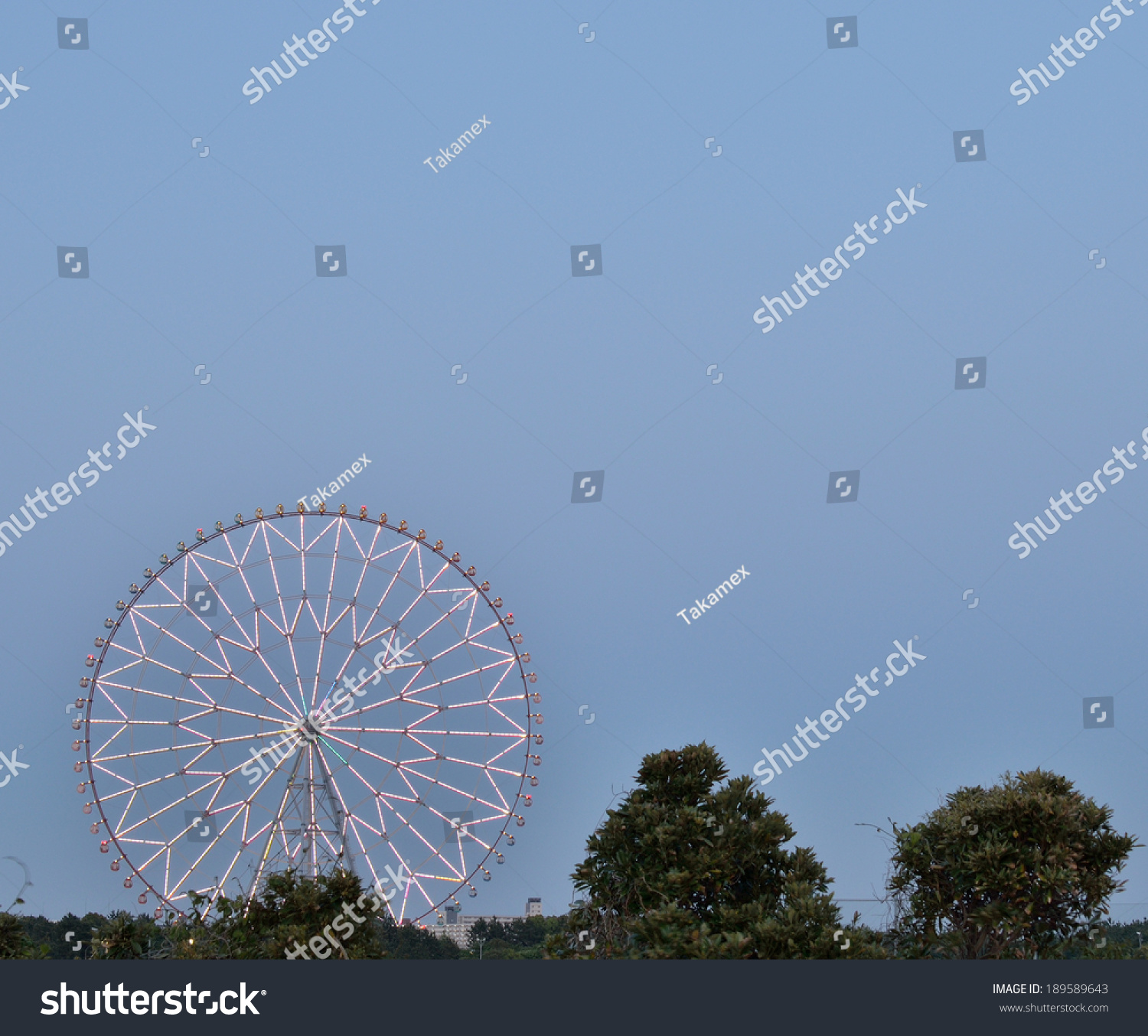 Edogawa Tokyo April 28 Diamond Flower Stock Photo Edit Now