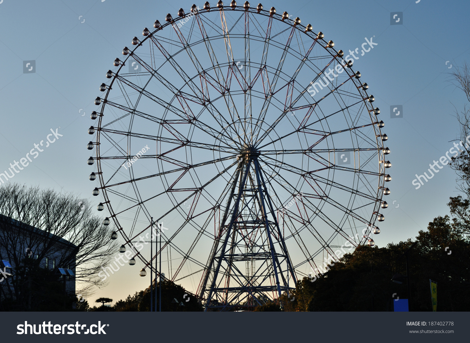 Edogawa Tokyo January 31 Diamond Flower Stock Photo Edit Now