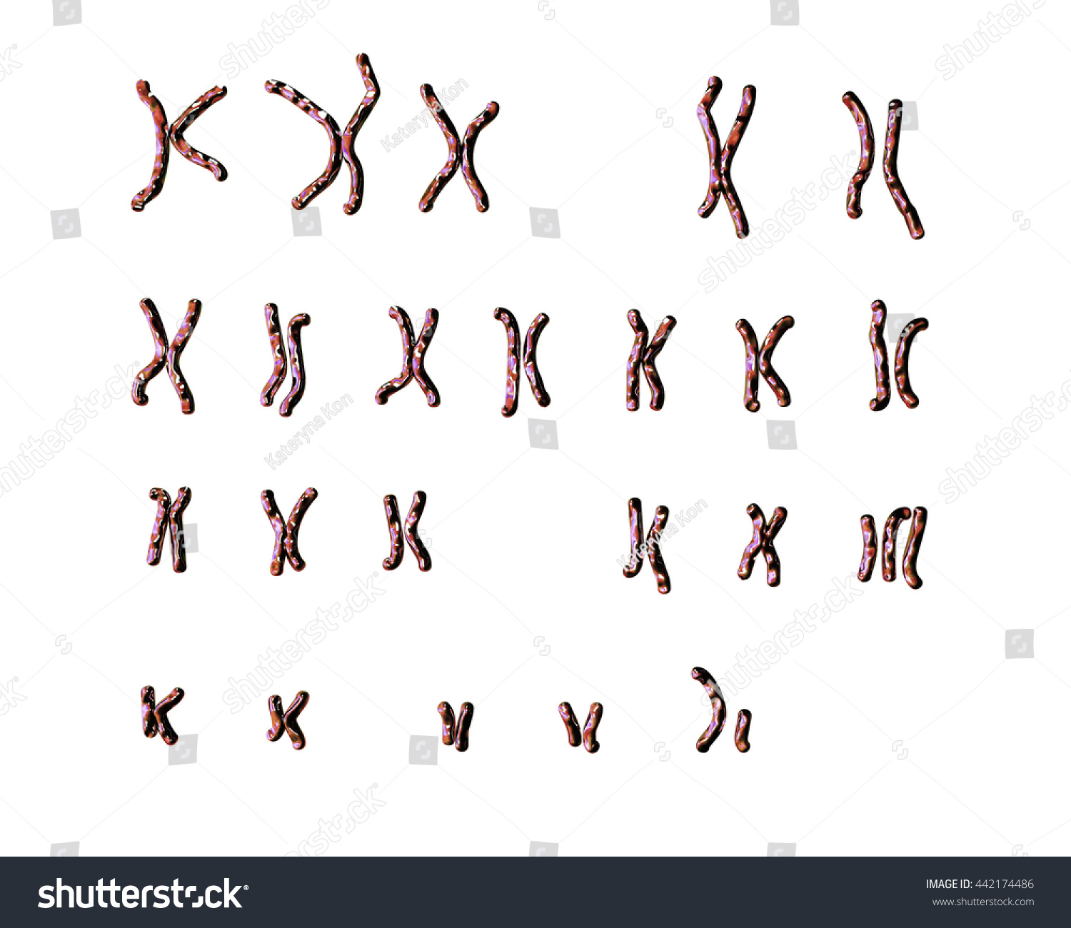 edwardssyndrome-male-karyotype-unlabeled-trisomy-18-442174486