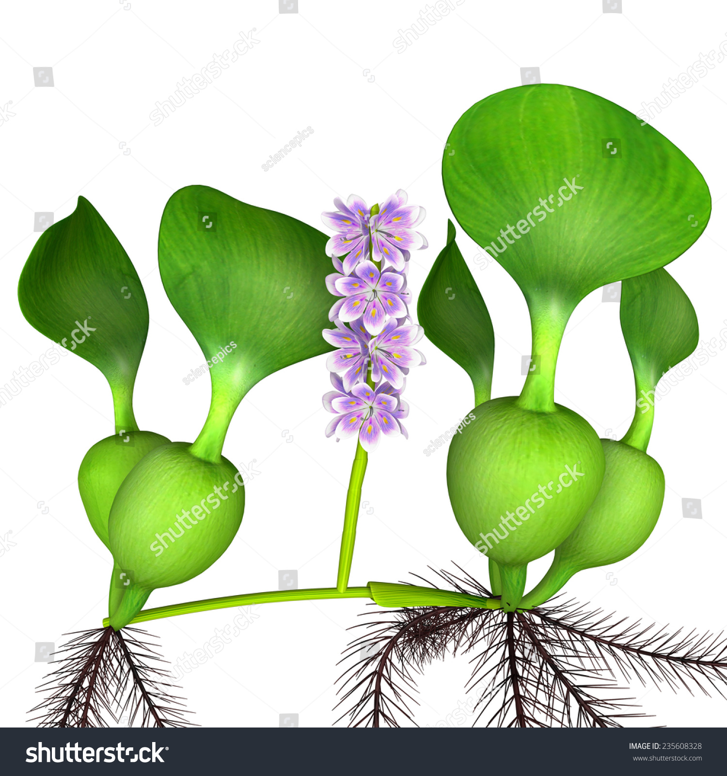 green plant with purple flowers on white clip art preview