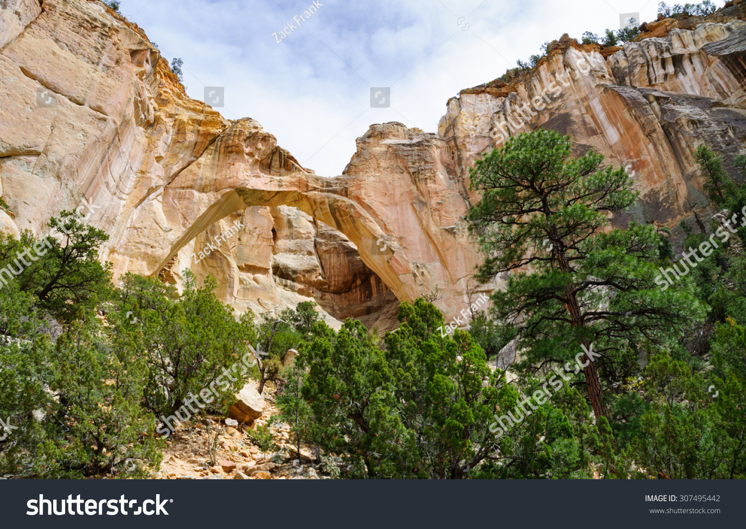 406 El malpais national monument Images, Stock Photos & Vectors ...