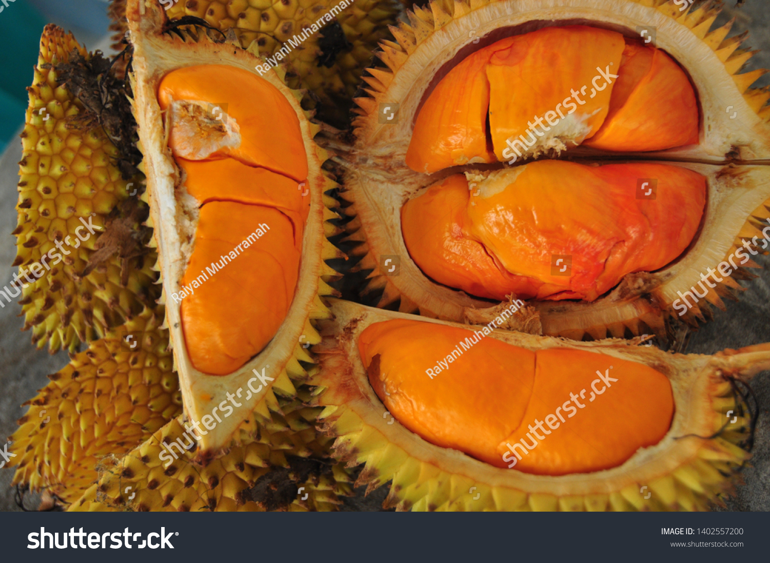 Elay Kalimantan Durian Kalimantan Indonesia Stock Photo 1402557200