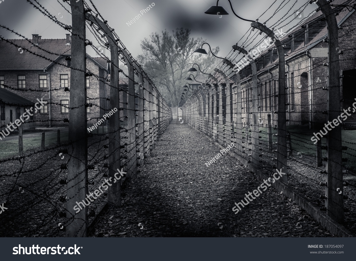 Auschwitz Stock Photos, Pictures & Royalty-Free Images 
