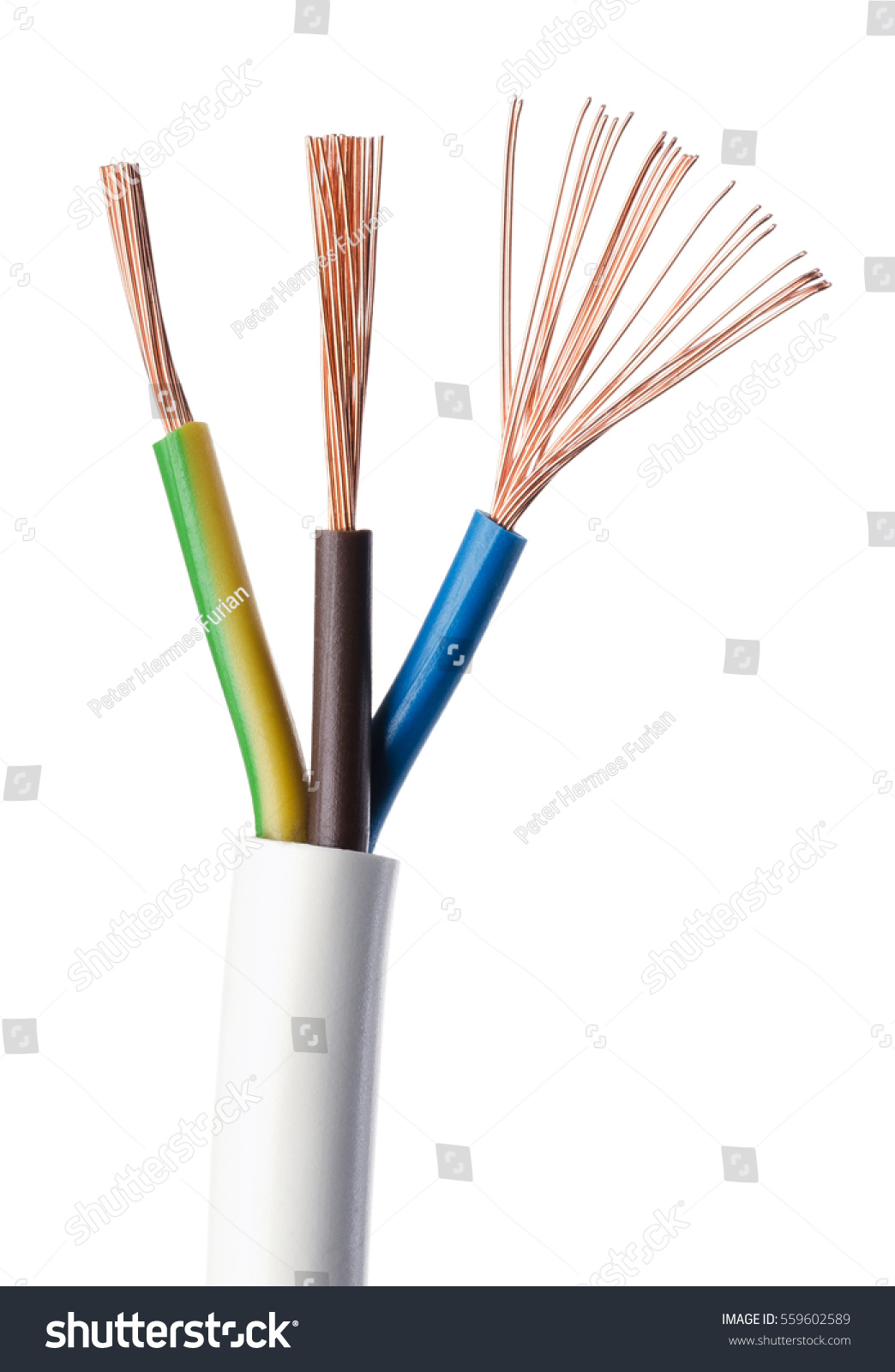 Cable Electrique Iec Standard Sur Fond Photo De Stock Modifier