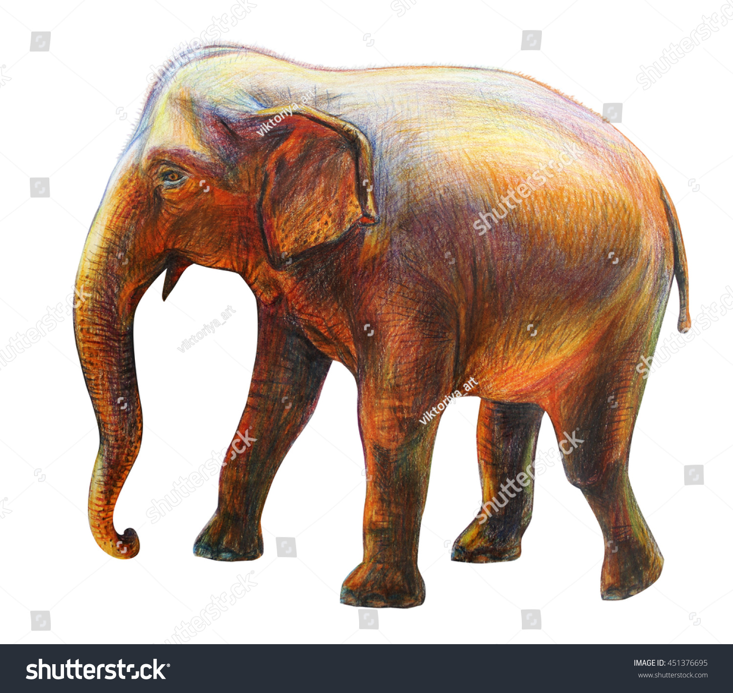 88 Colored pencil big elephant drawing Images, Stock Photos & Vectors