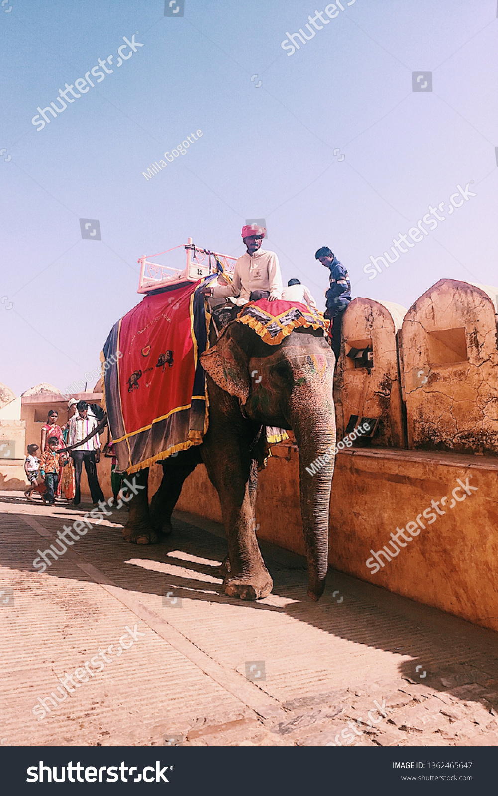 Elephant Ride Amber Fort Jaipurindia Stock Photo Edit Now