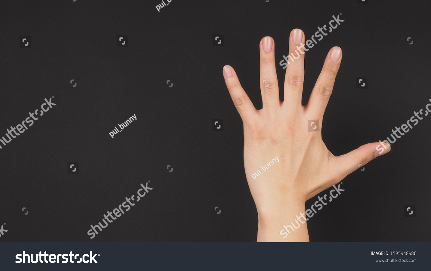 Empty Back Hand On Black Background Stock Photo 1595948986 