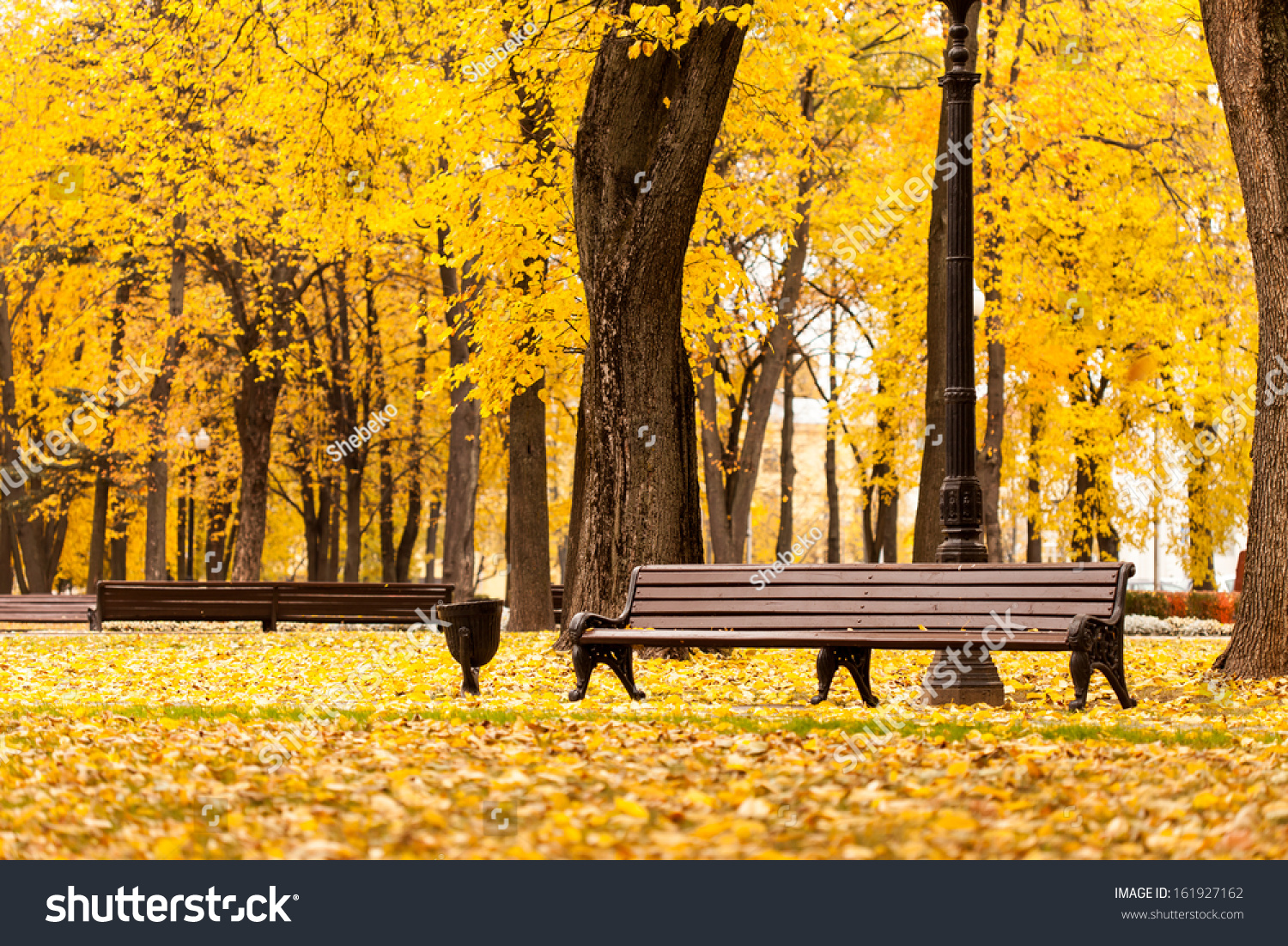 Empty Bench Park Stock Photo 161927162 | Shutterstock