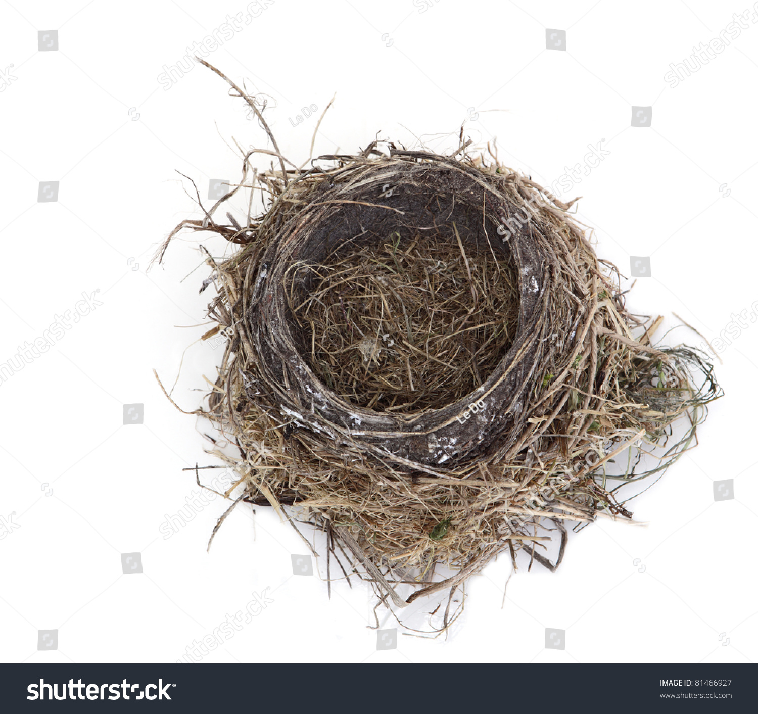 Empty Robin Bird Nest Isolated On White Background Stock Photo 81466927 ...