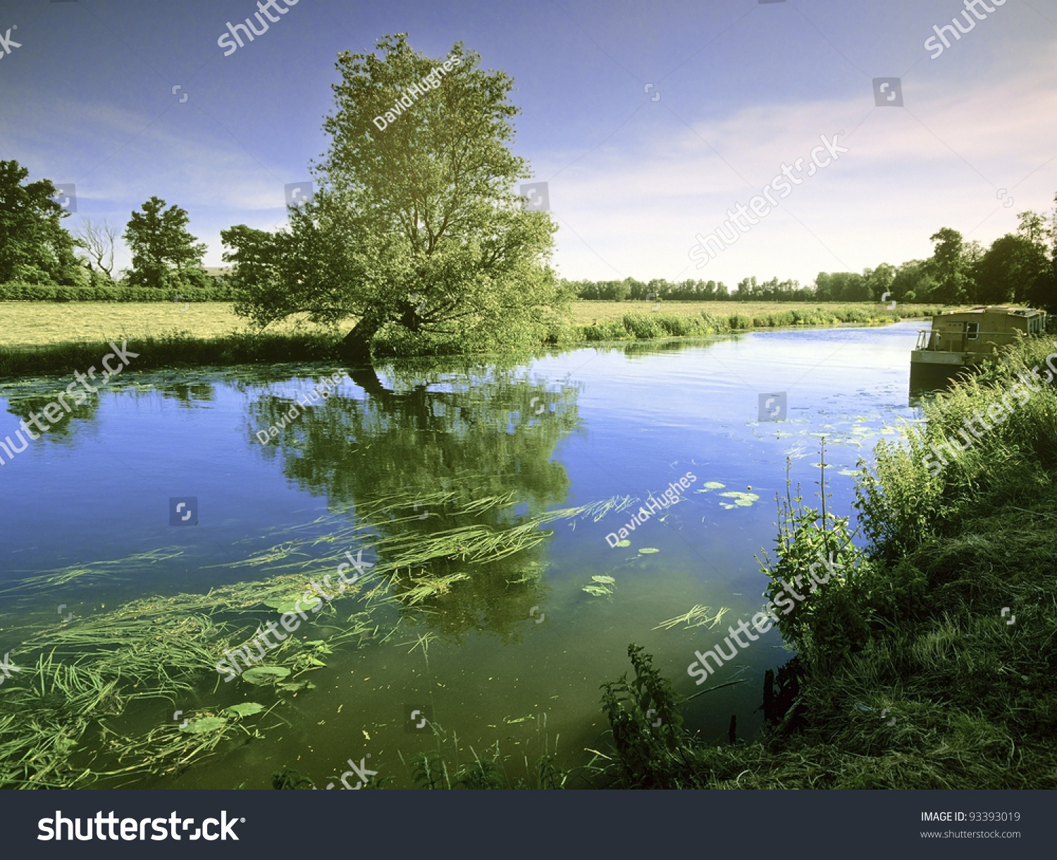 England East Anglia The Norfolk Broads And Fens Stock Photo 93393019 ...