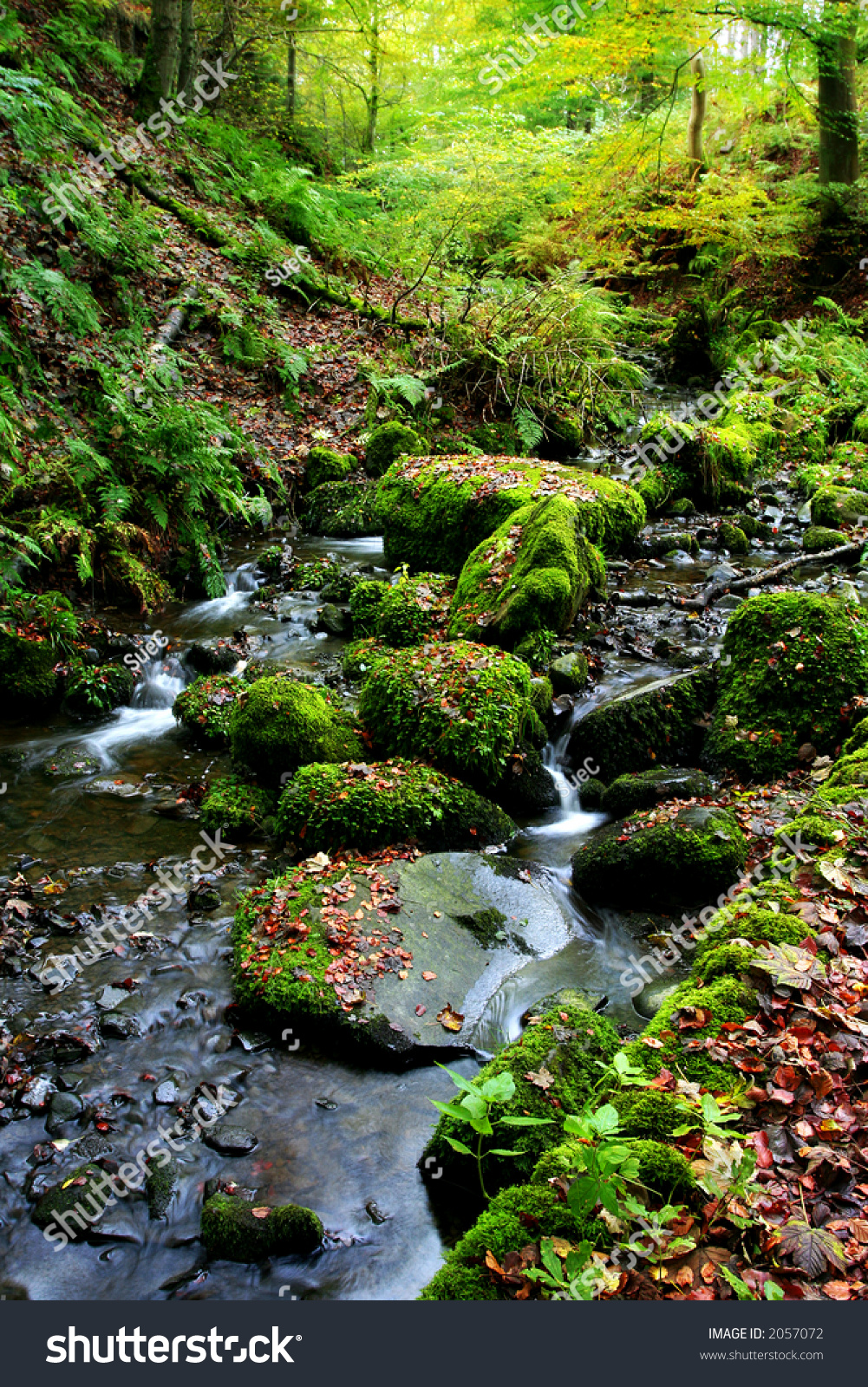 English Autumn Babbling Brook Stock Photo 2057072 | Shutterstock