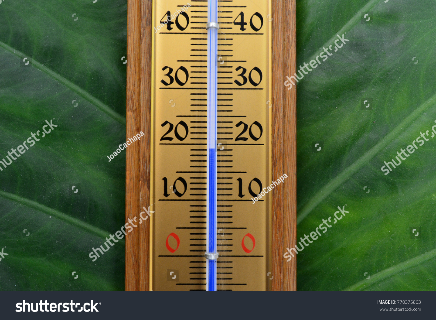 environmental thermometer