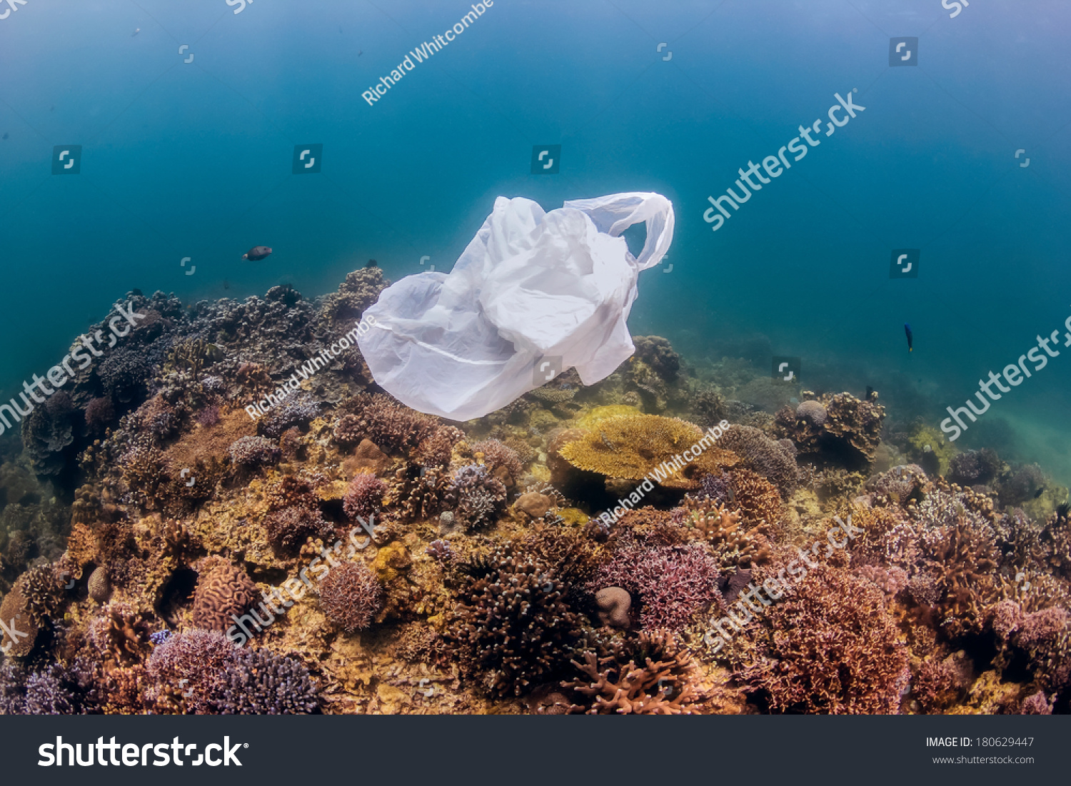 Environmental Pollution - A Discarded White Plastic Bags Drifts Over A ...