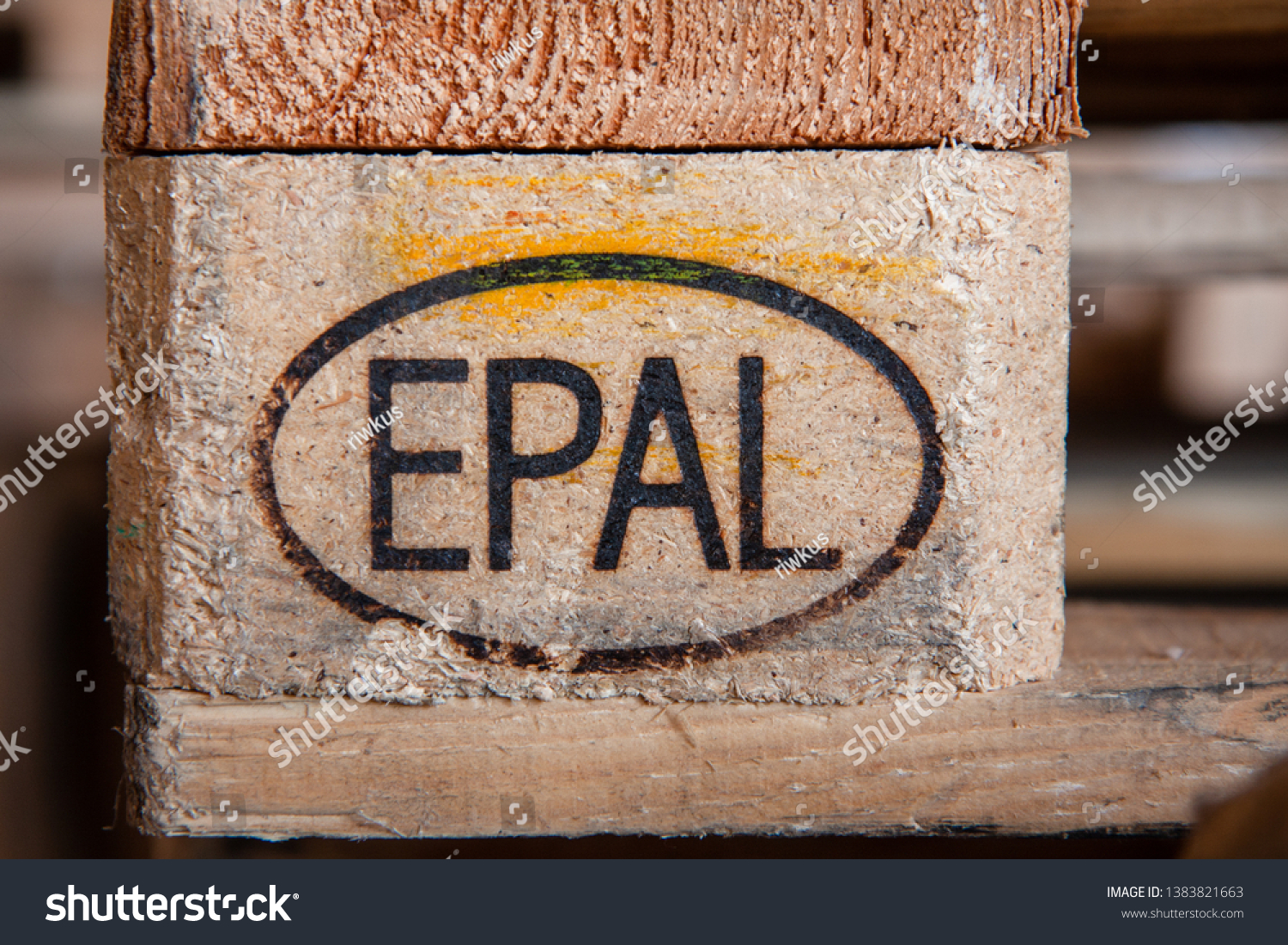 Epal ePal Study