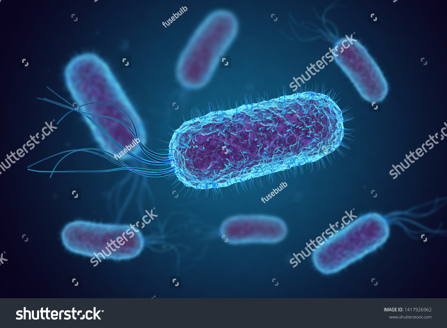 Escherichia Coli E Coli Cells Bacteria Stock Illustration