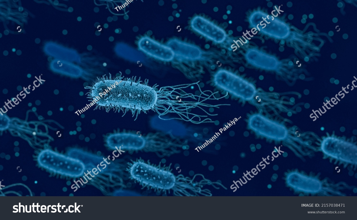 Escherichia Coli E Coli Cells Bacteria Stock Illustration Shutterstock