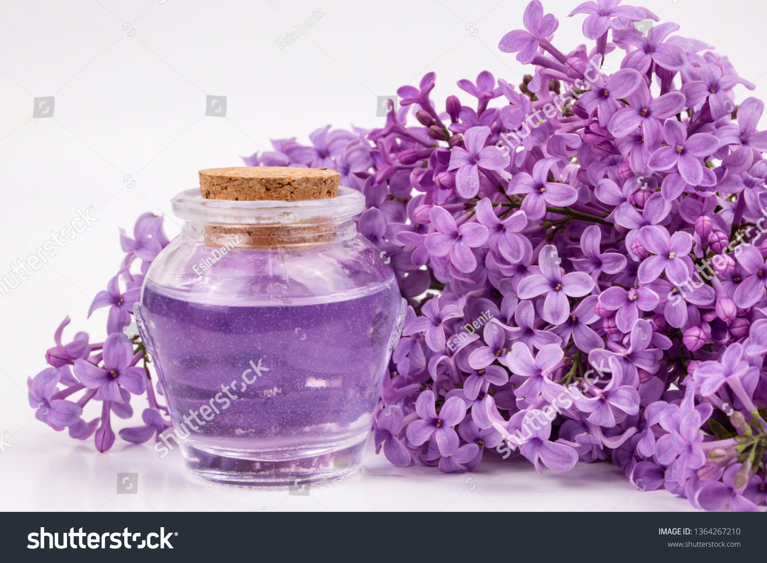 Essential Oil Made Lilac On Flower Stock Photo (Edit Now) 1364267210