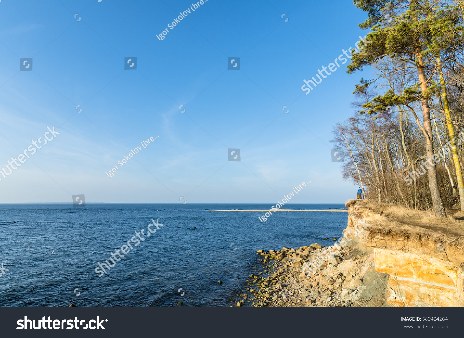 Estonian Baltic Sea Coast Precipice Stock Photo 589424264 Estonian Baltic Sea Coast Precipice Stock Photo 589424264