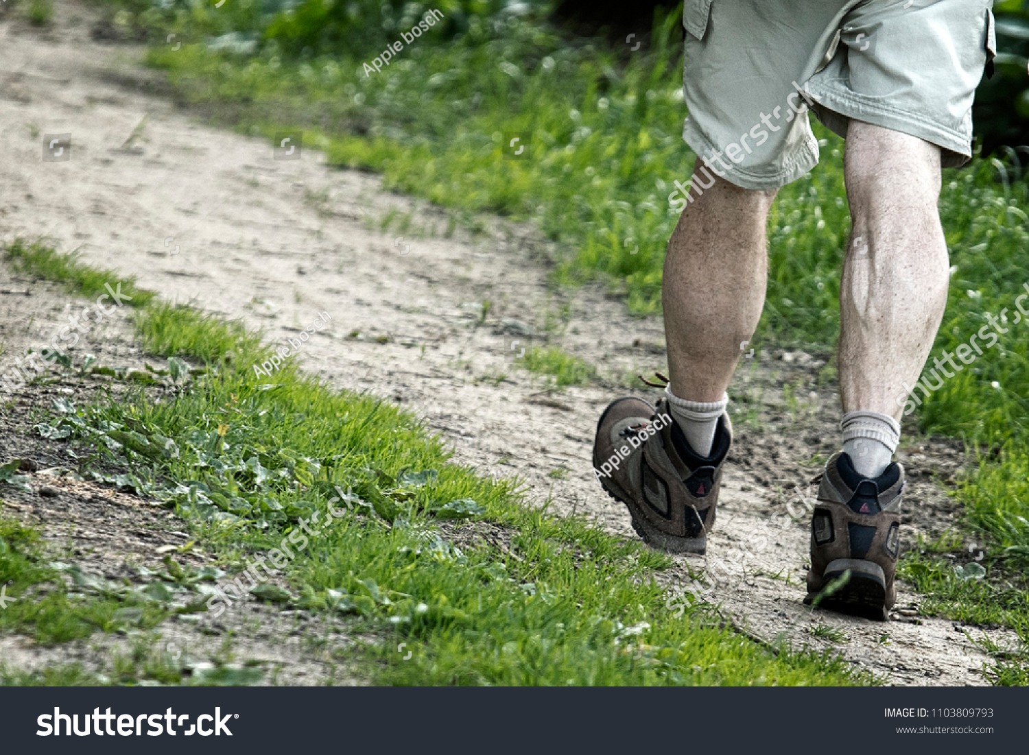 9 Wandelen natuur Images, Stock Photos & Vectors | Shutterstock