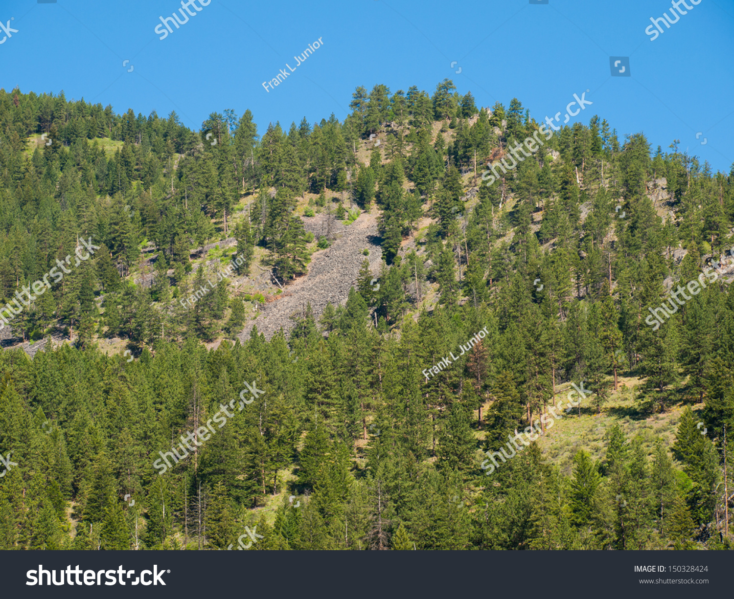 Evergreen Trees On Steep Rocky Mountainside Stock Photo 150328424 ...