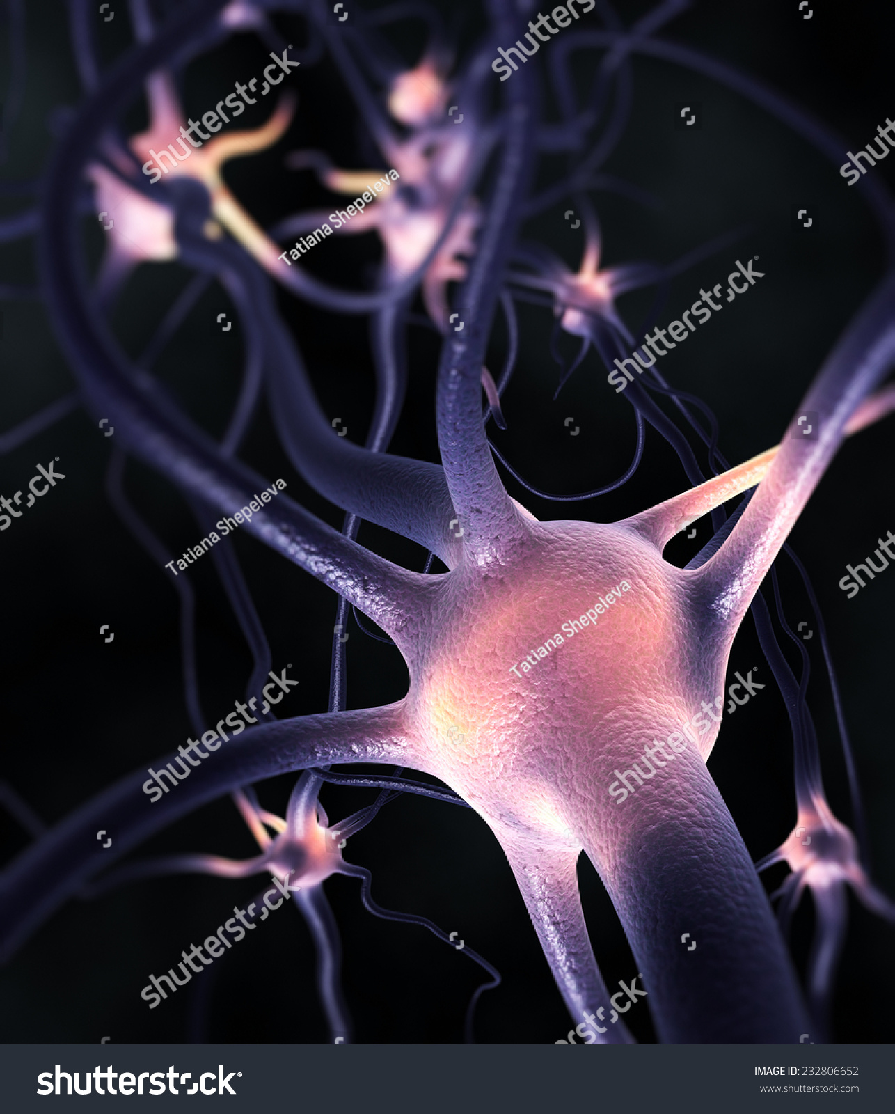 Excited Nervous System Stock Illustration 232806652 - Shutterstock