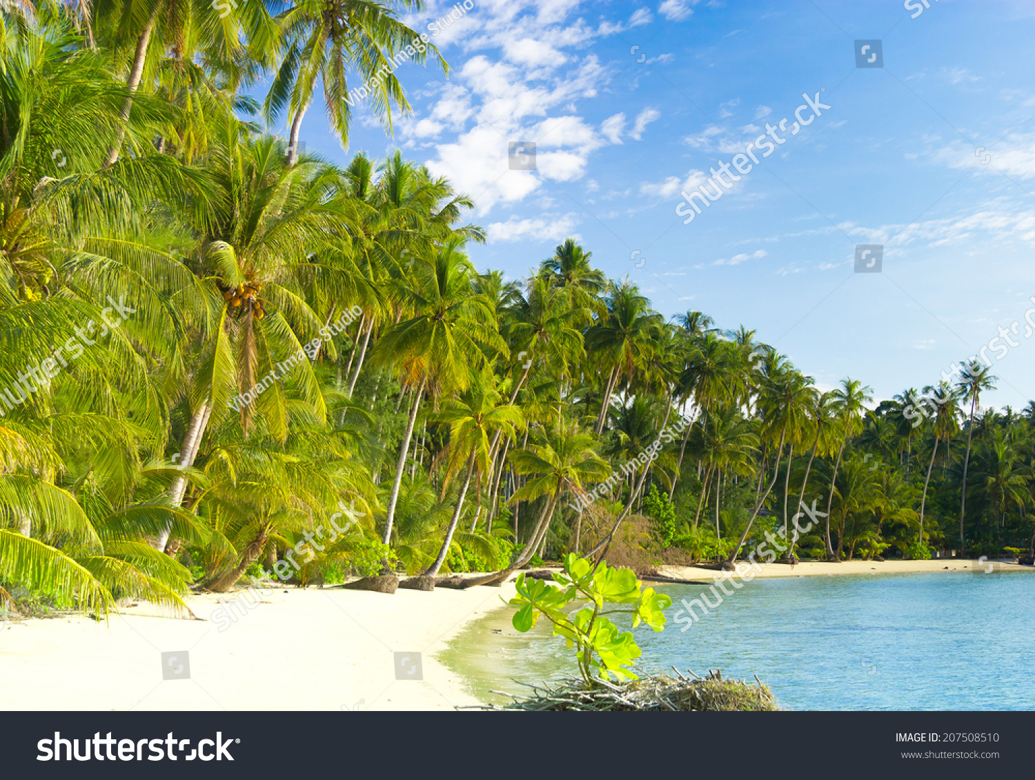 exotic relaxation sunshine coast errotic city exotic relaxation sunshine coast errotic city