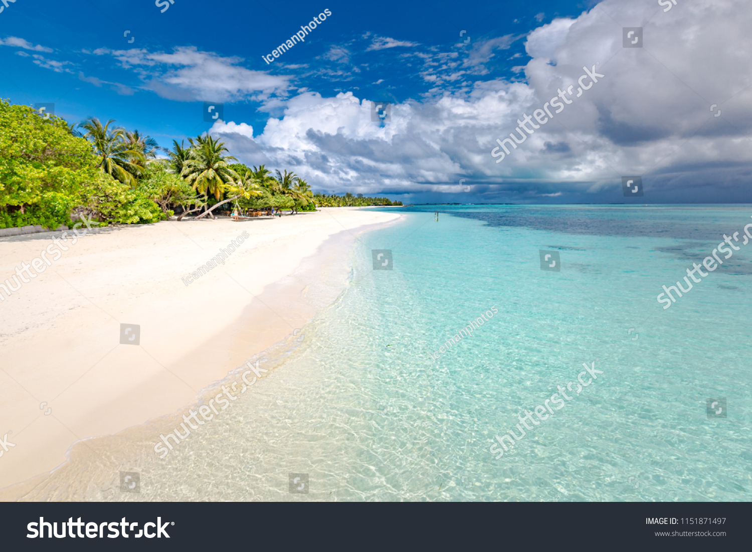 Exotic Tropical Beach Banner Background Wallpaper Stock Photo