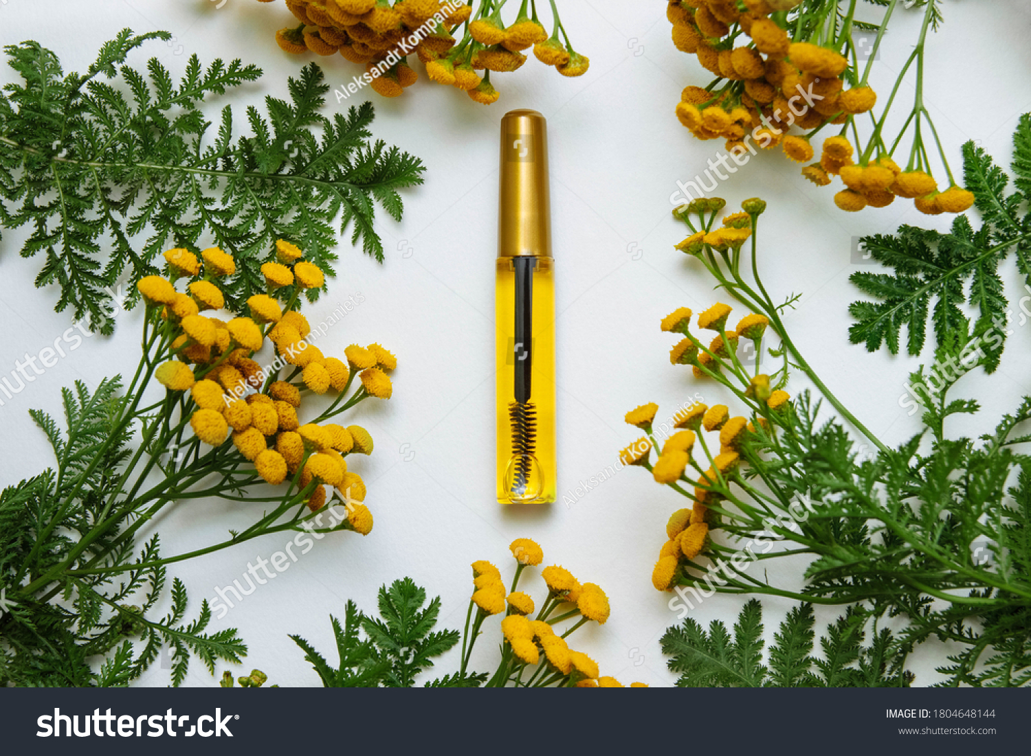 白い背景に黄色のタンジー花 カモミールと緑の葉 美容コンセプト まつげと眉のケア および白い背景にブラシとプラスチックの透明なボトルのまつげとまゆ油写真素材 Shutterstock