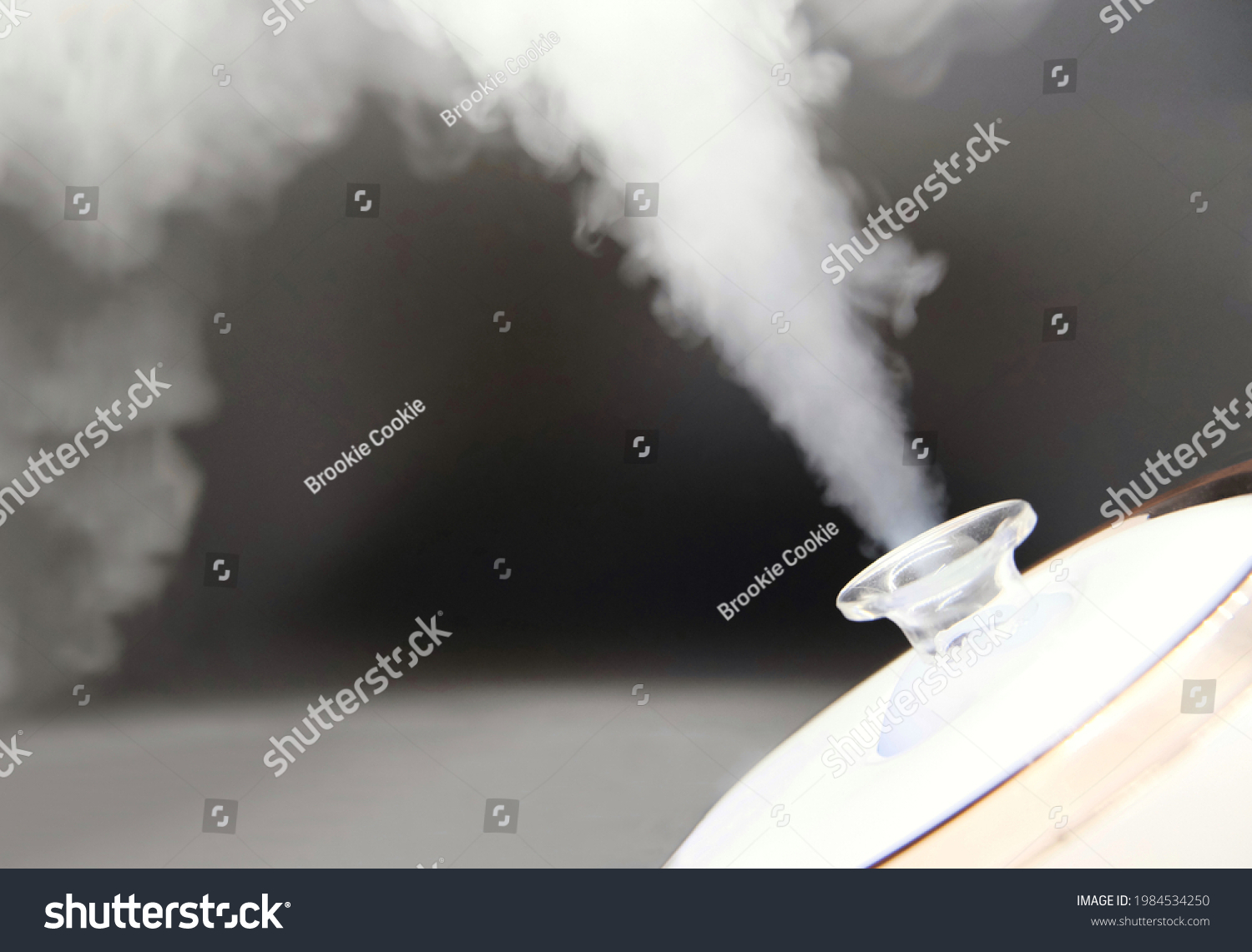 Facial steamer Images, Stock Photos & Vectors | Shutterstock