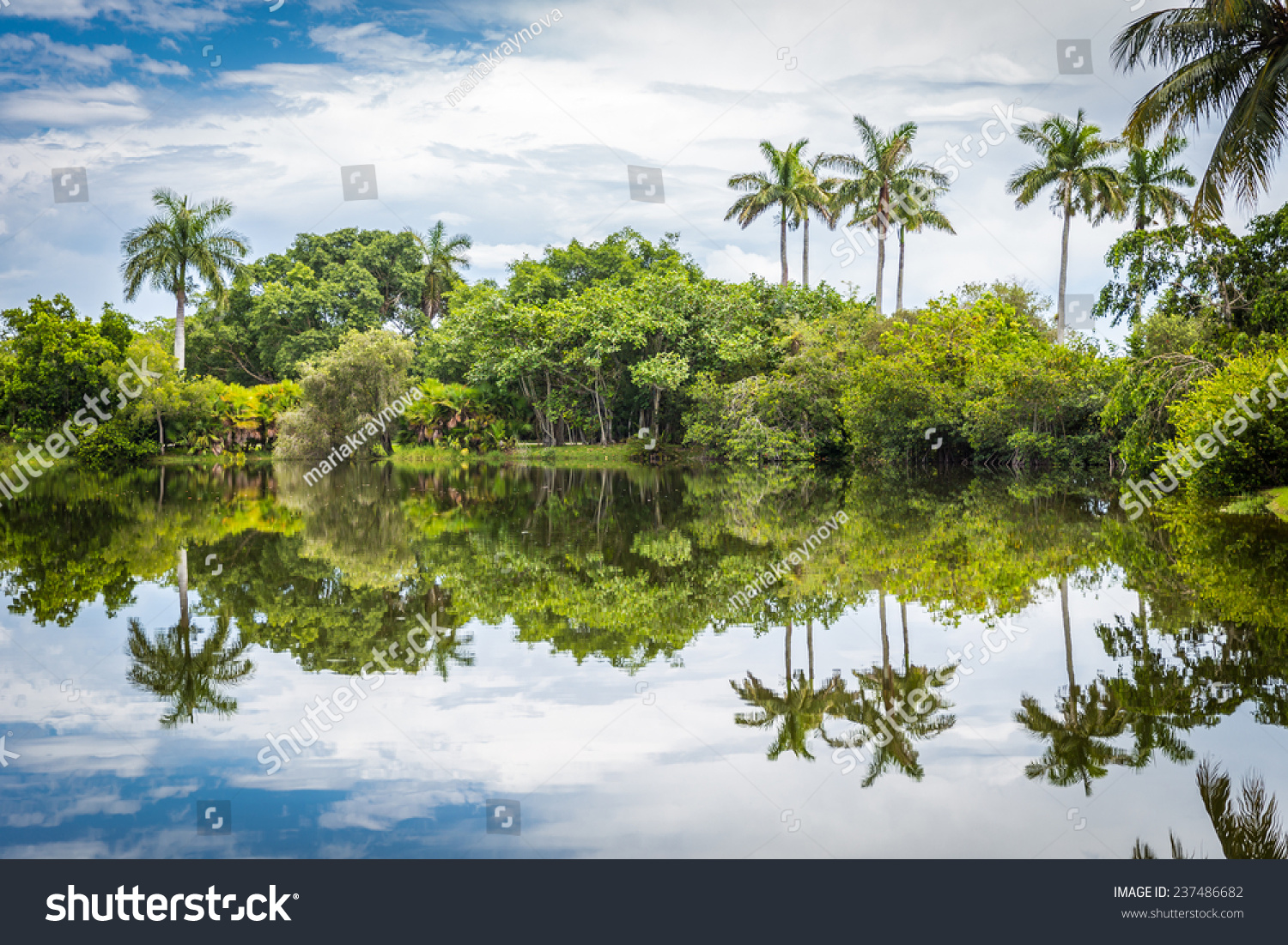 Fairchild Tropical Botanical Garden Miami Fl Stock Photo Edit Now