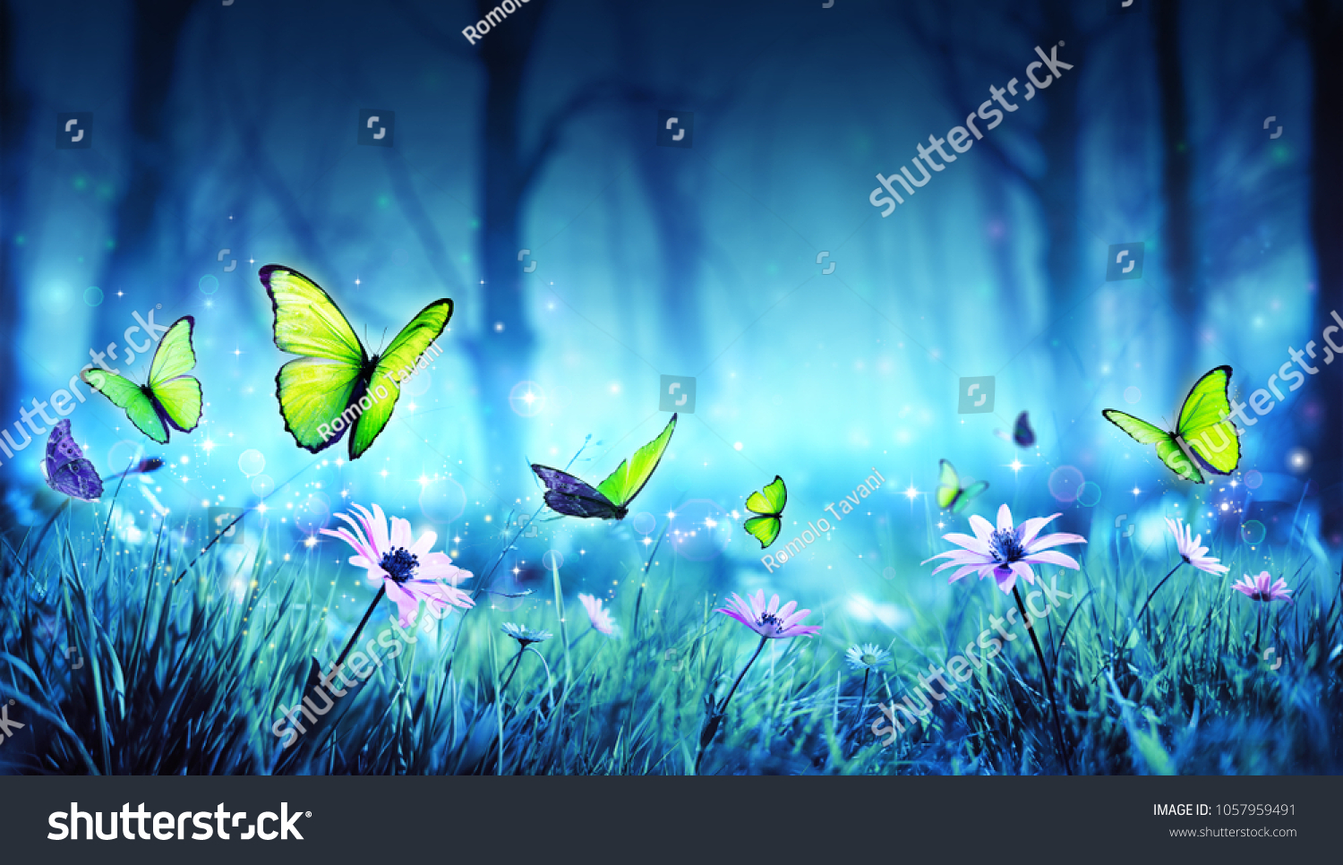 神秘的な森に蝶々 3dイラストを含む のイラスト素材