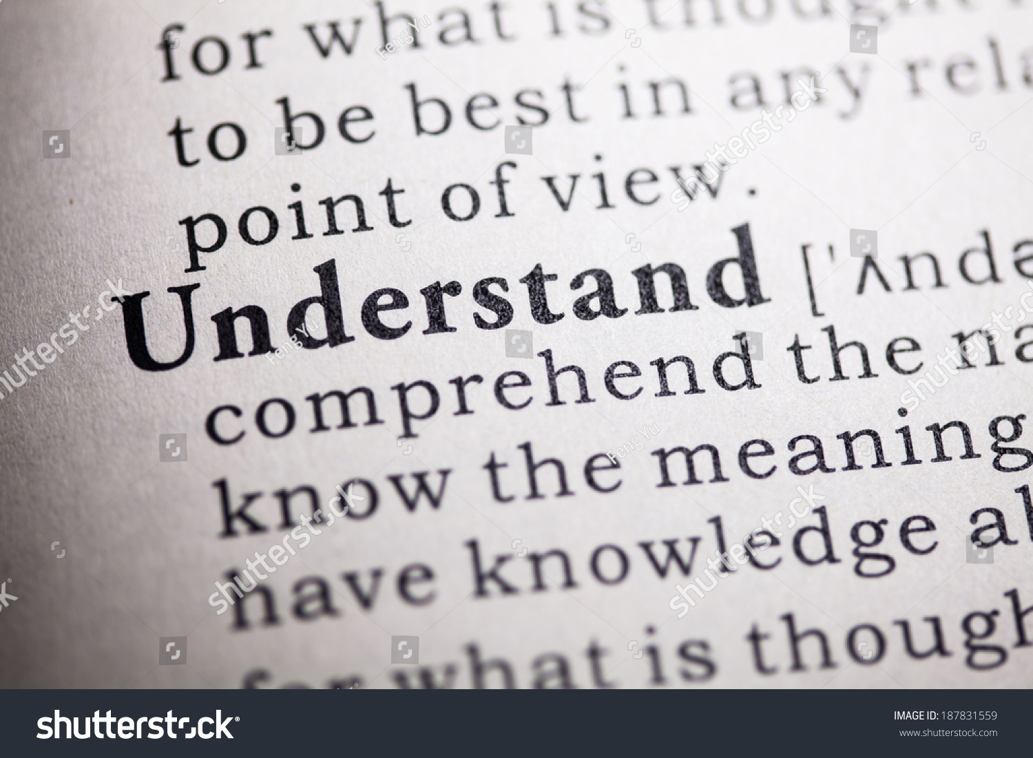 Fake Dictionary Dictionary Definition Word Understand Stock Photo 