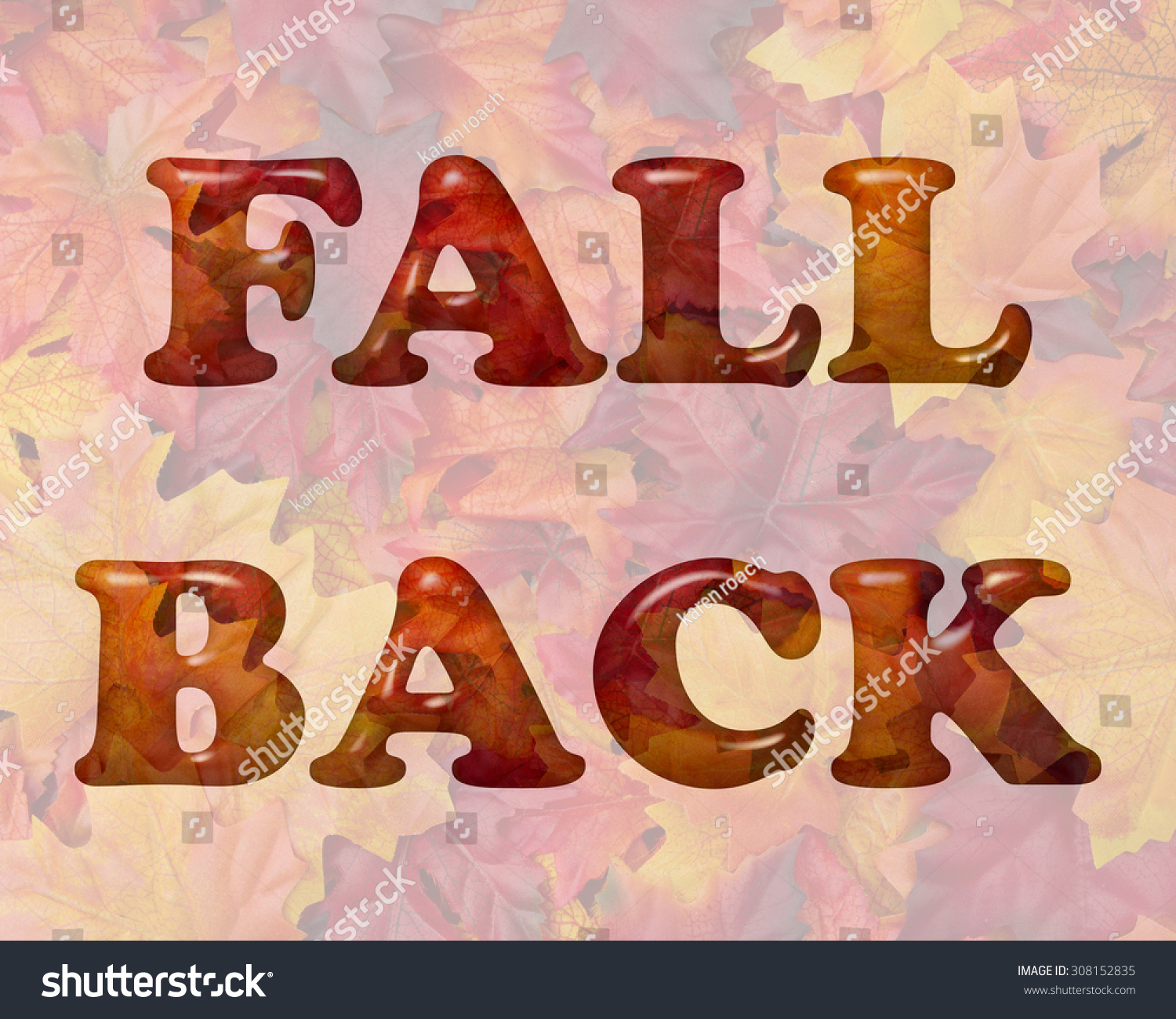 Fall Back Time Change Words Fall Stock Illustration 308152835